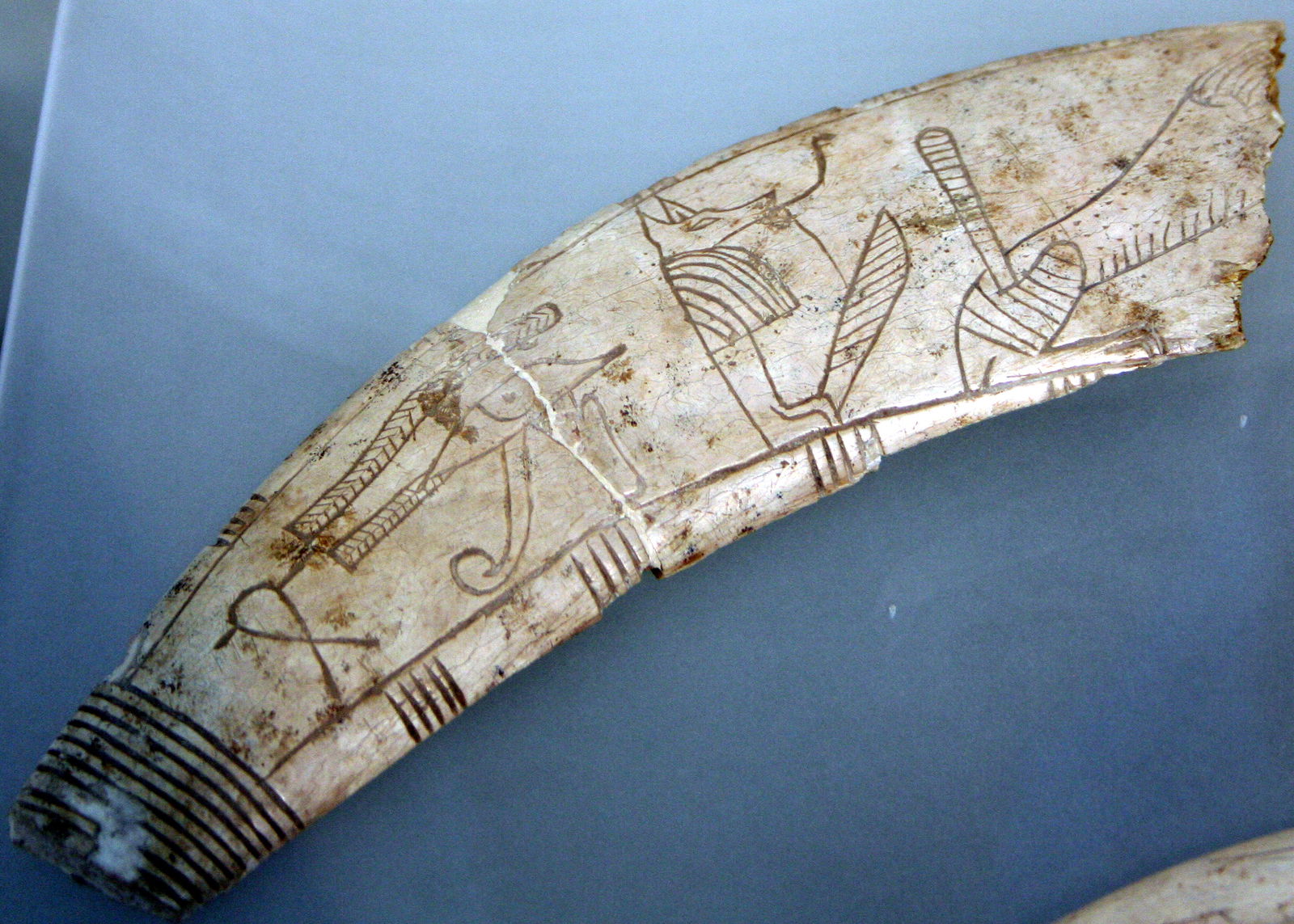 Ägyptisches Museum der Universität Leipzig