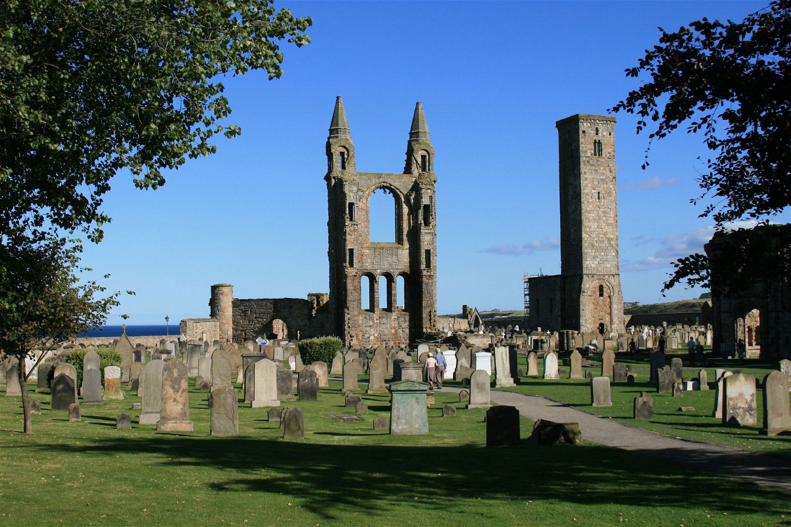 St Andrews Cathedral And St Rule's Tower