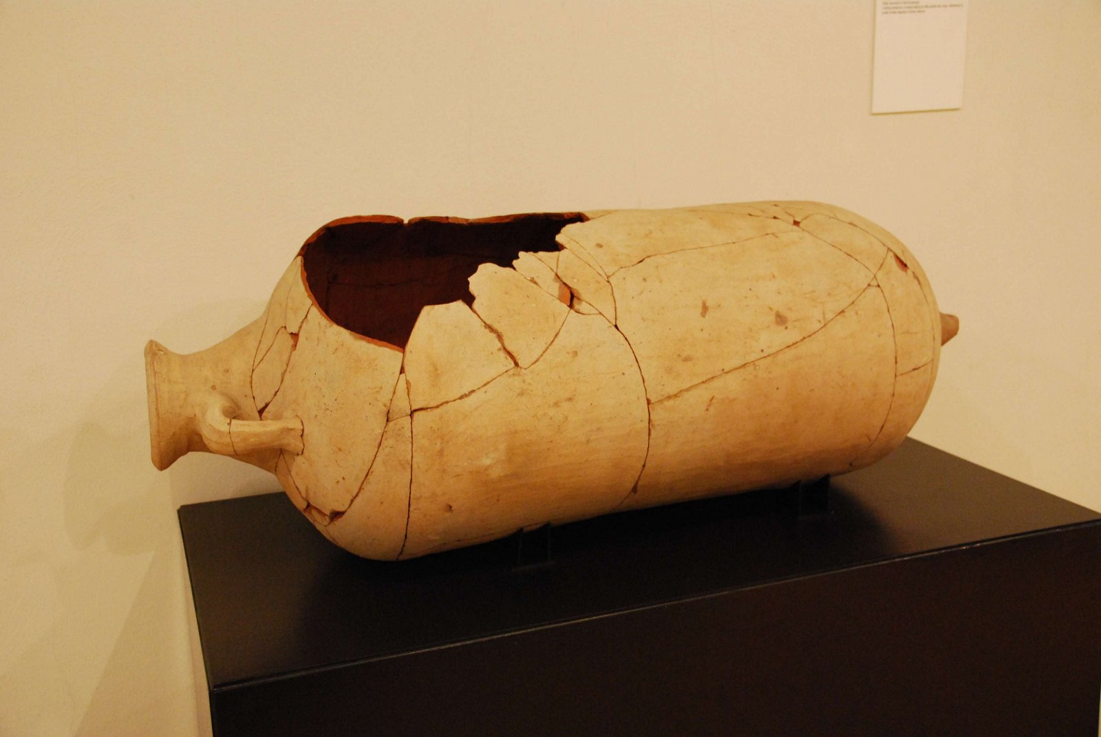 Antiquarium Alda Levi