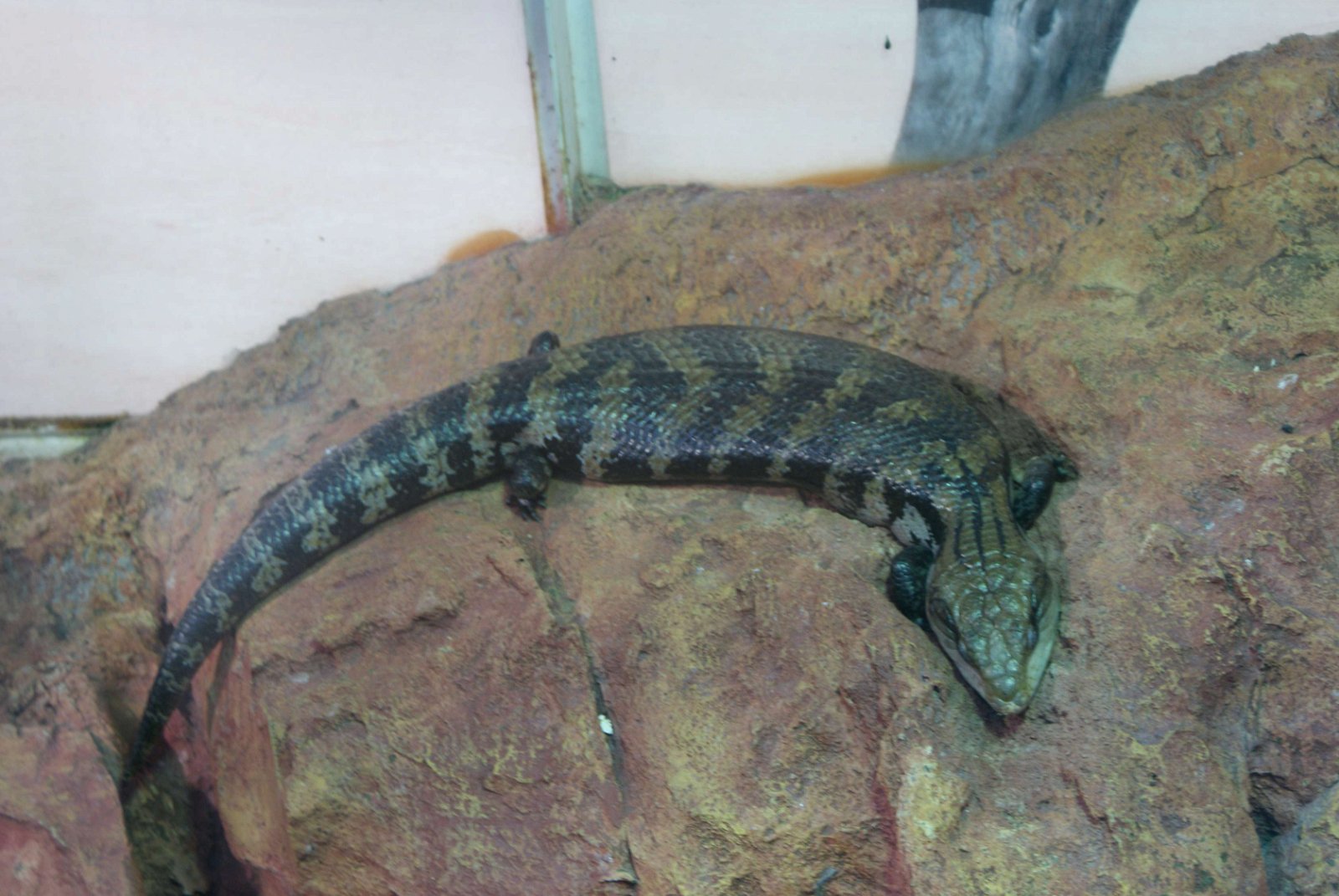 Tropicarium - Oceanarium