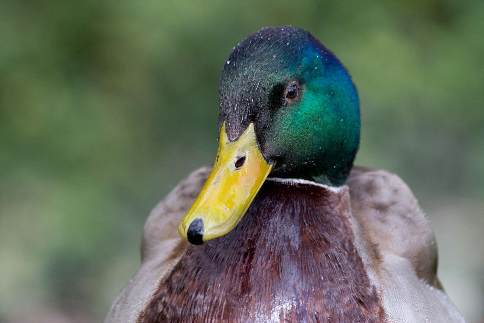 Zoo Aquarium de Madrid