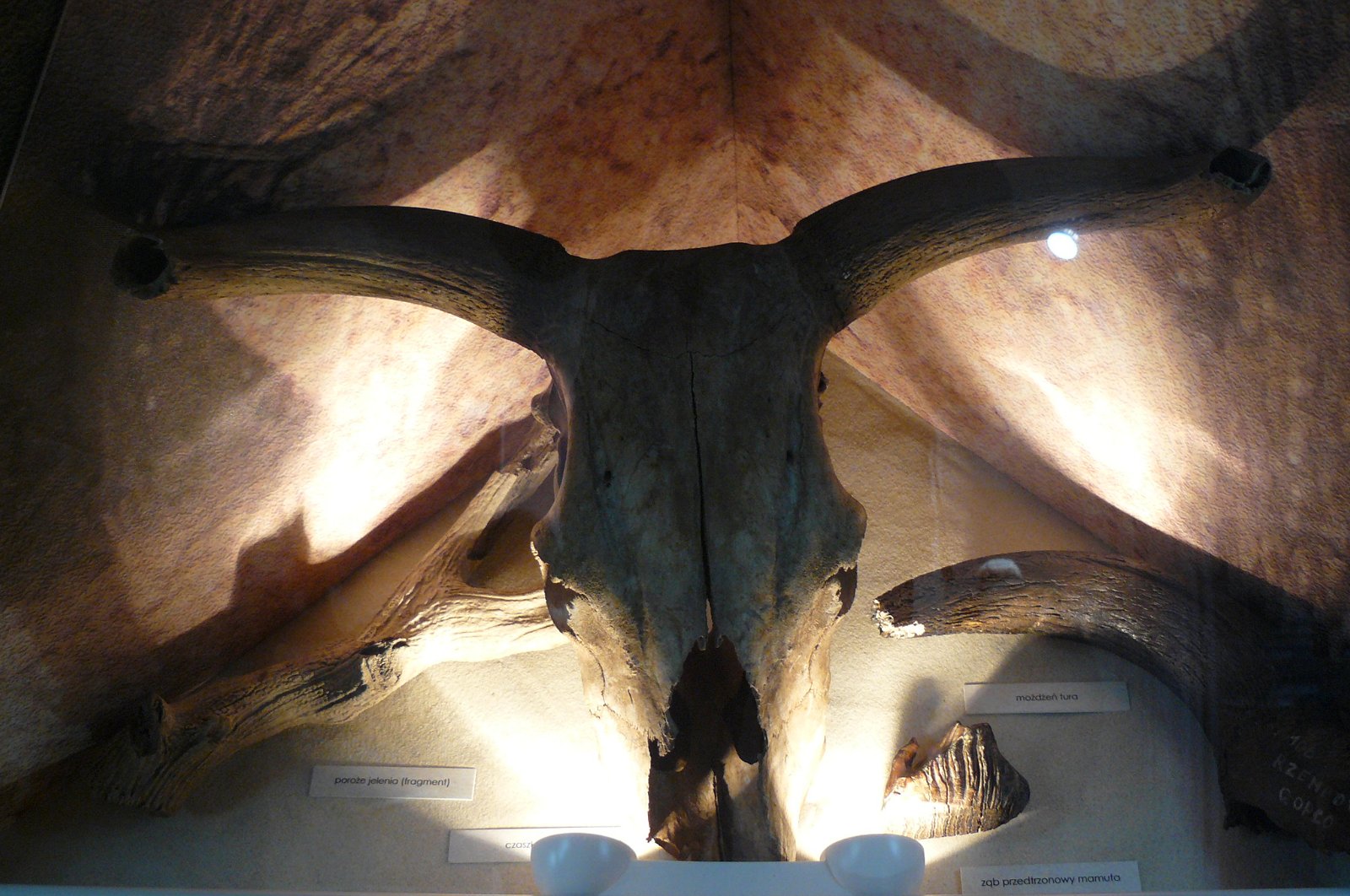 Museum of Natural Environment and Hunting