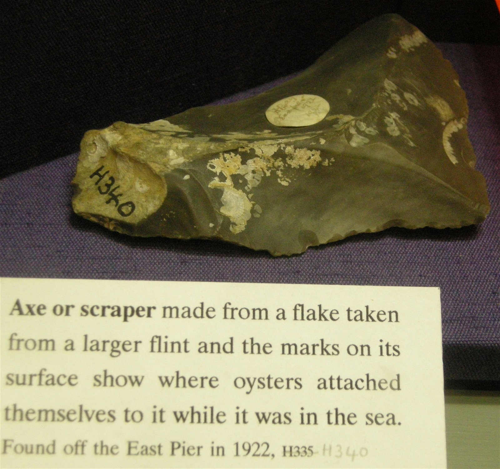 The Seaside Museum, Herne Bay