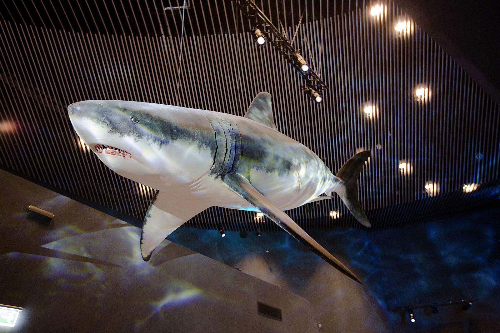 National Aquarium Denmark