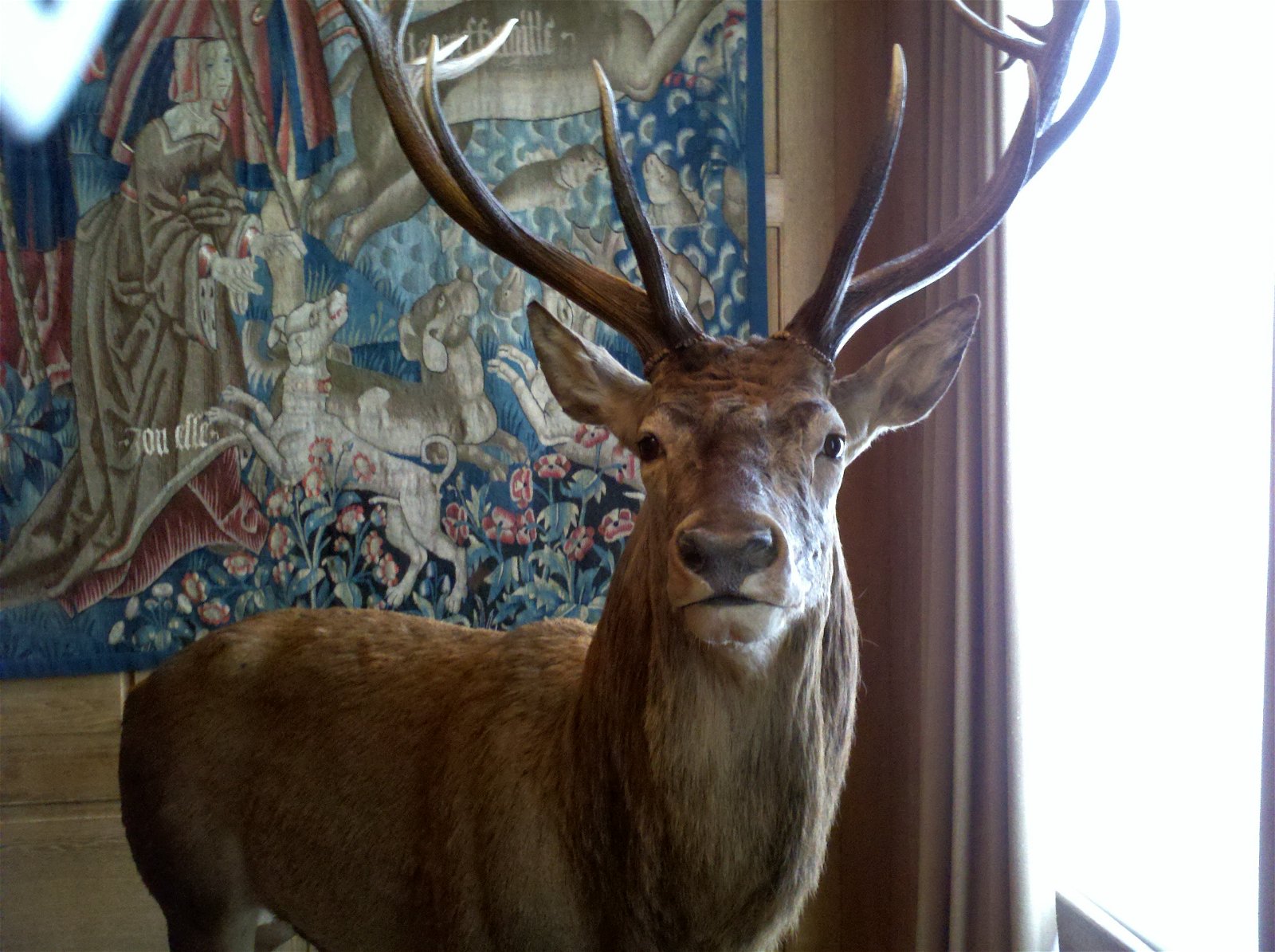 Musée de la Chasse et de la Nature