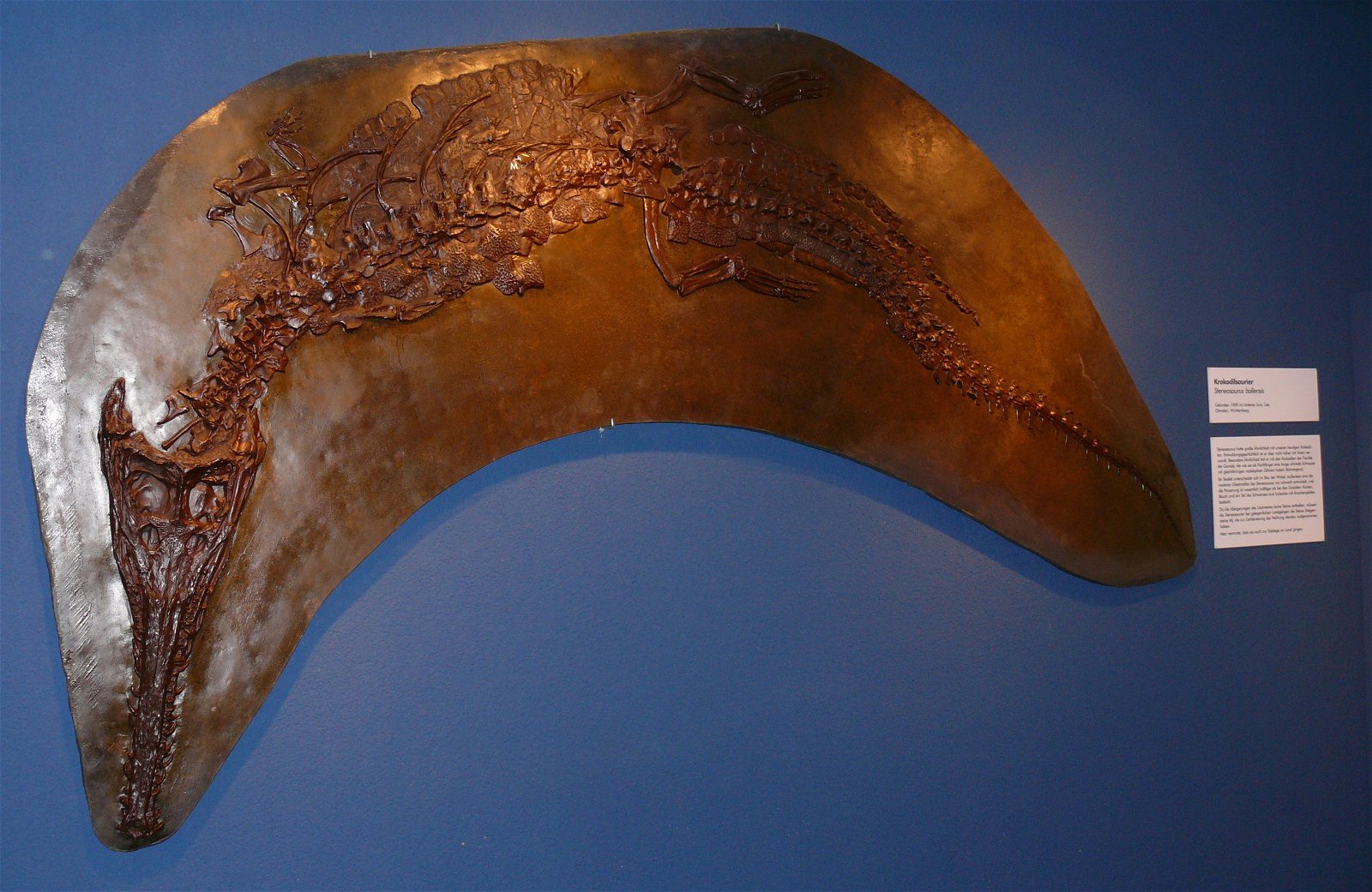 Aquazoo – Löbbecke-Museum Düsseldorf