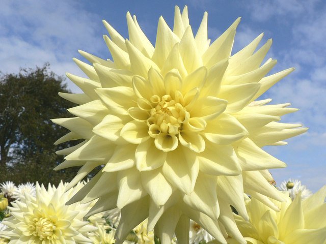 National Botanic Garden of Wales