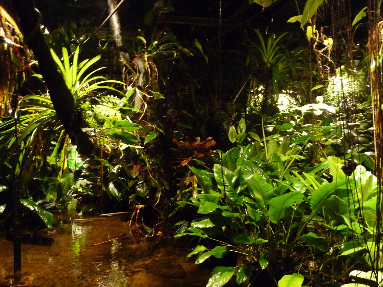 Aquaria Water Museum