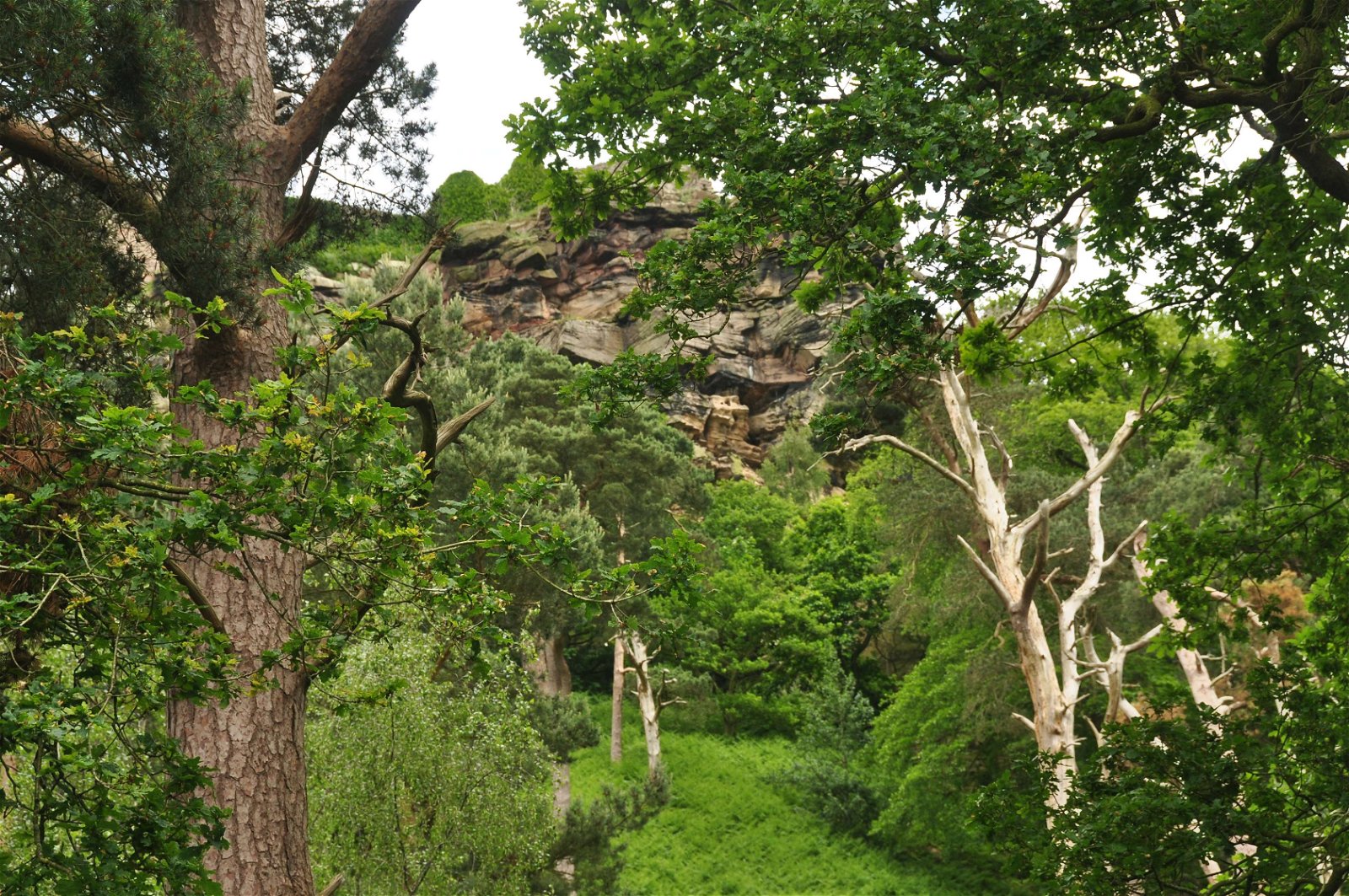 Beeston Castle and Woodland Park