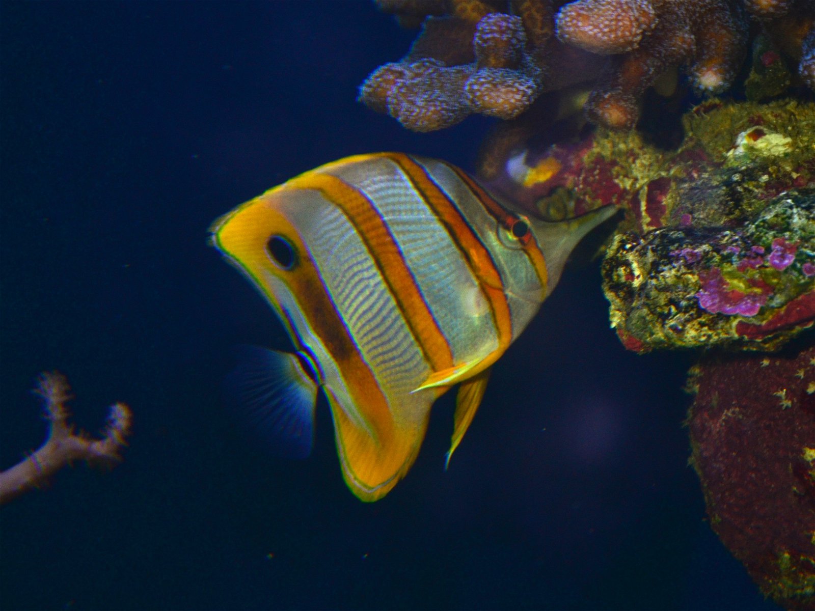 Aquaria Water Museum