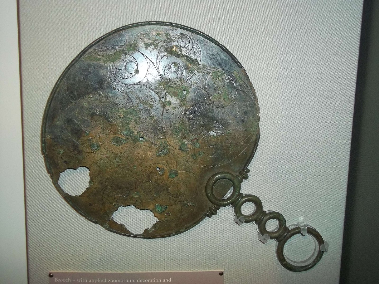 Dorset County Museum