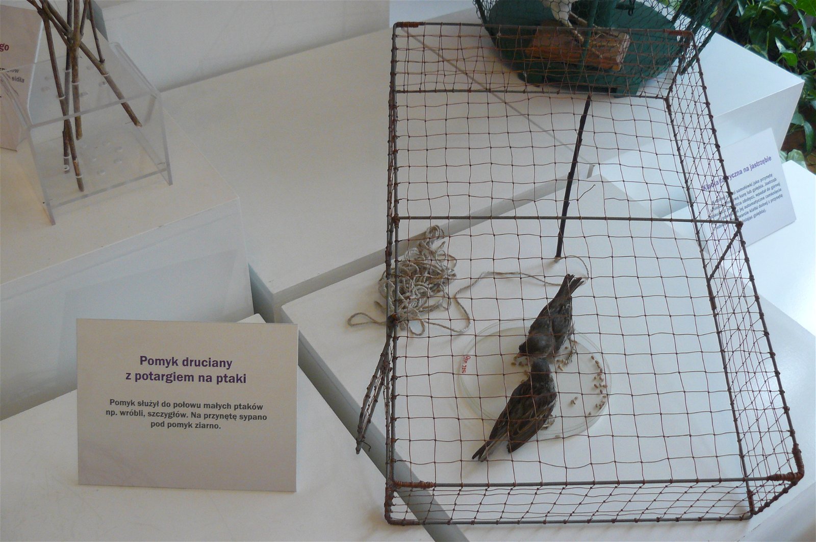 Museum of Natural Environment and Hunting