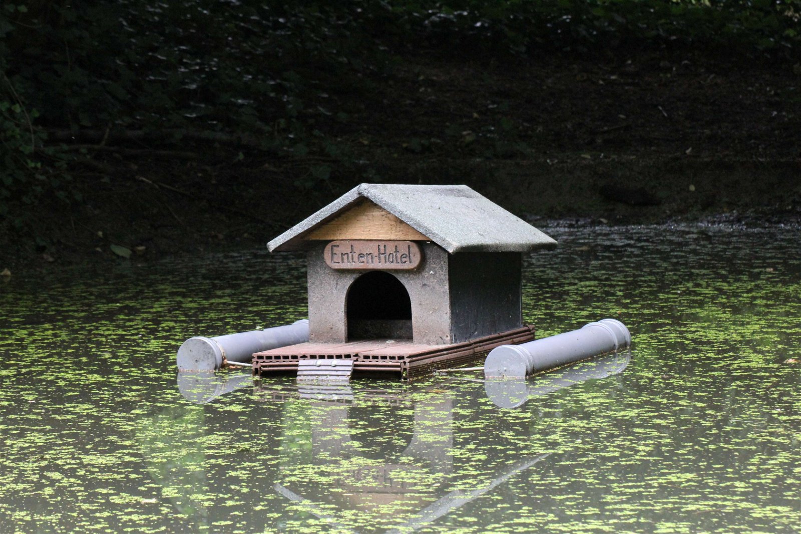 Wildpark im Grafenberger Wald