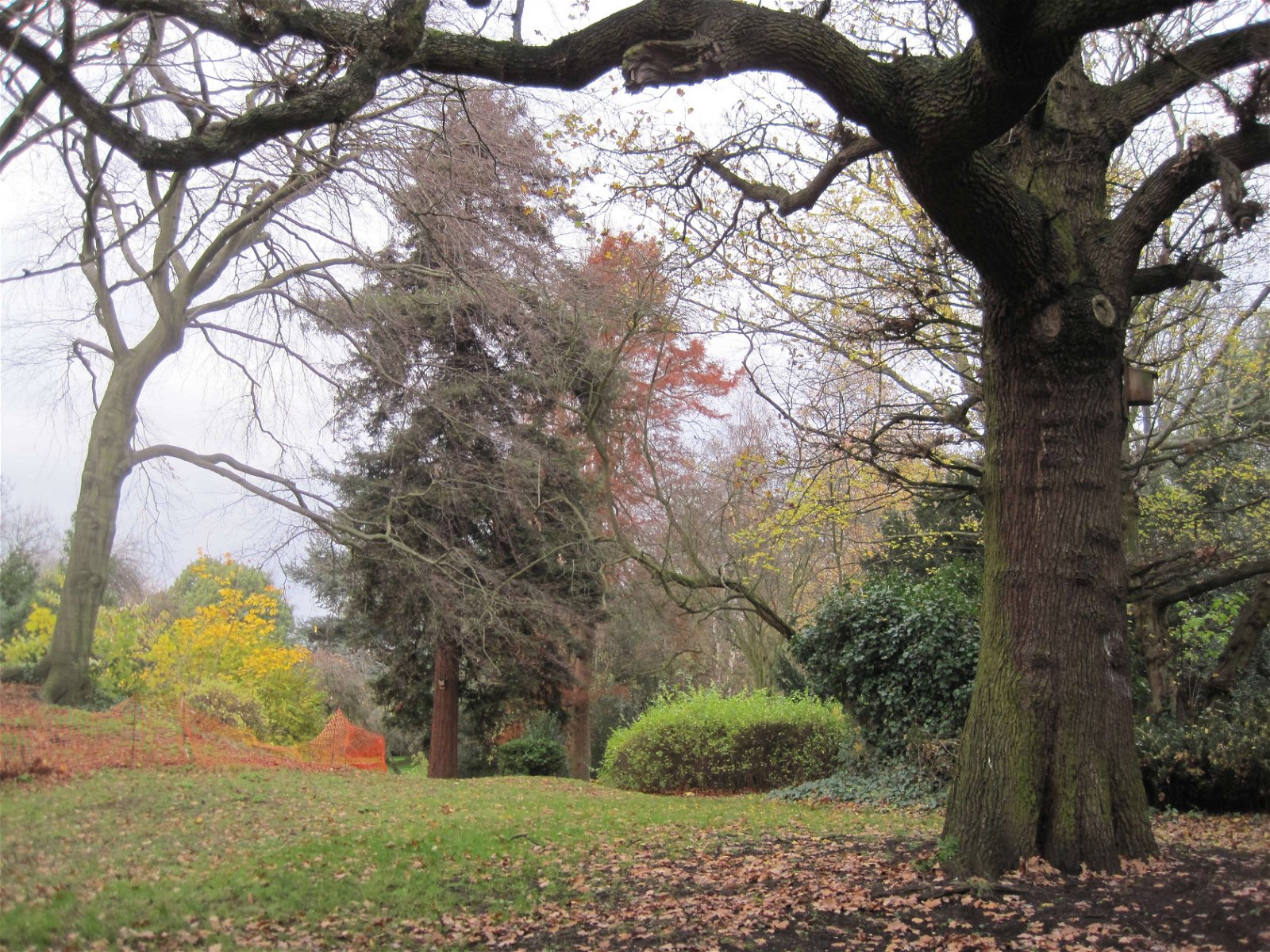 Stephens House and Gardens