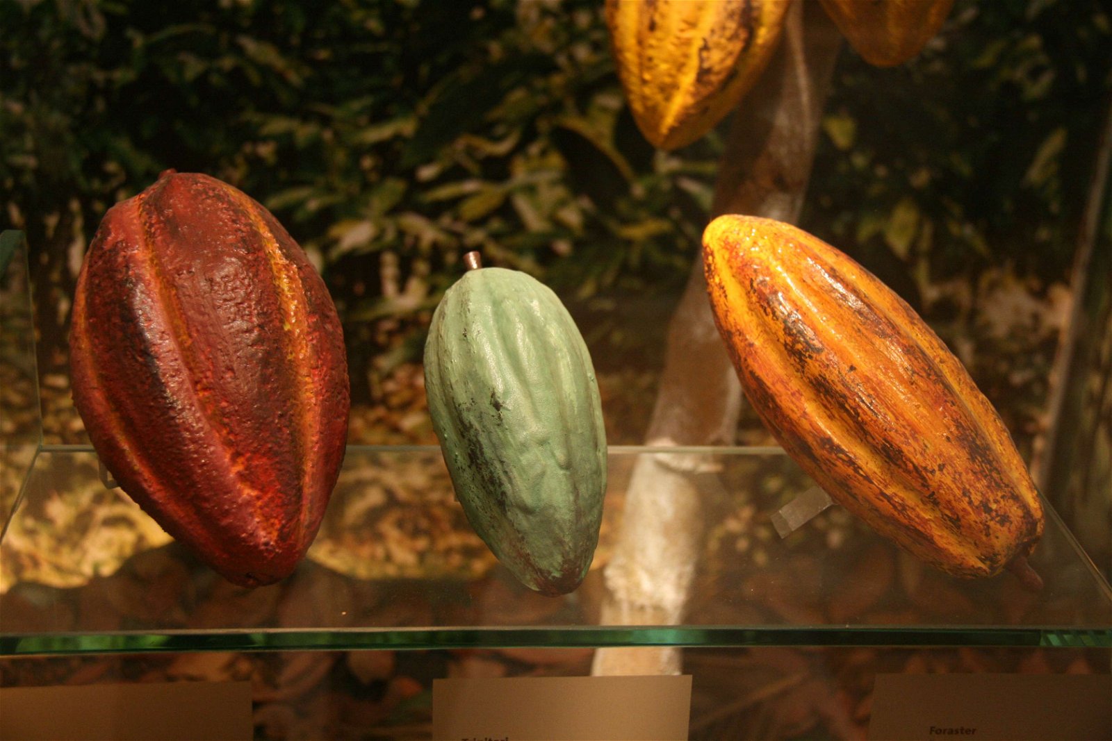 Museu de la Xocolata