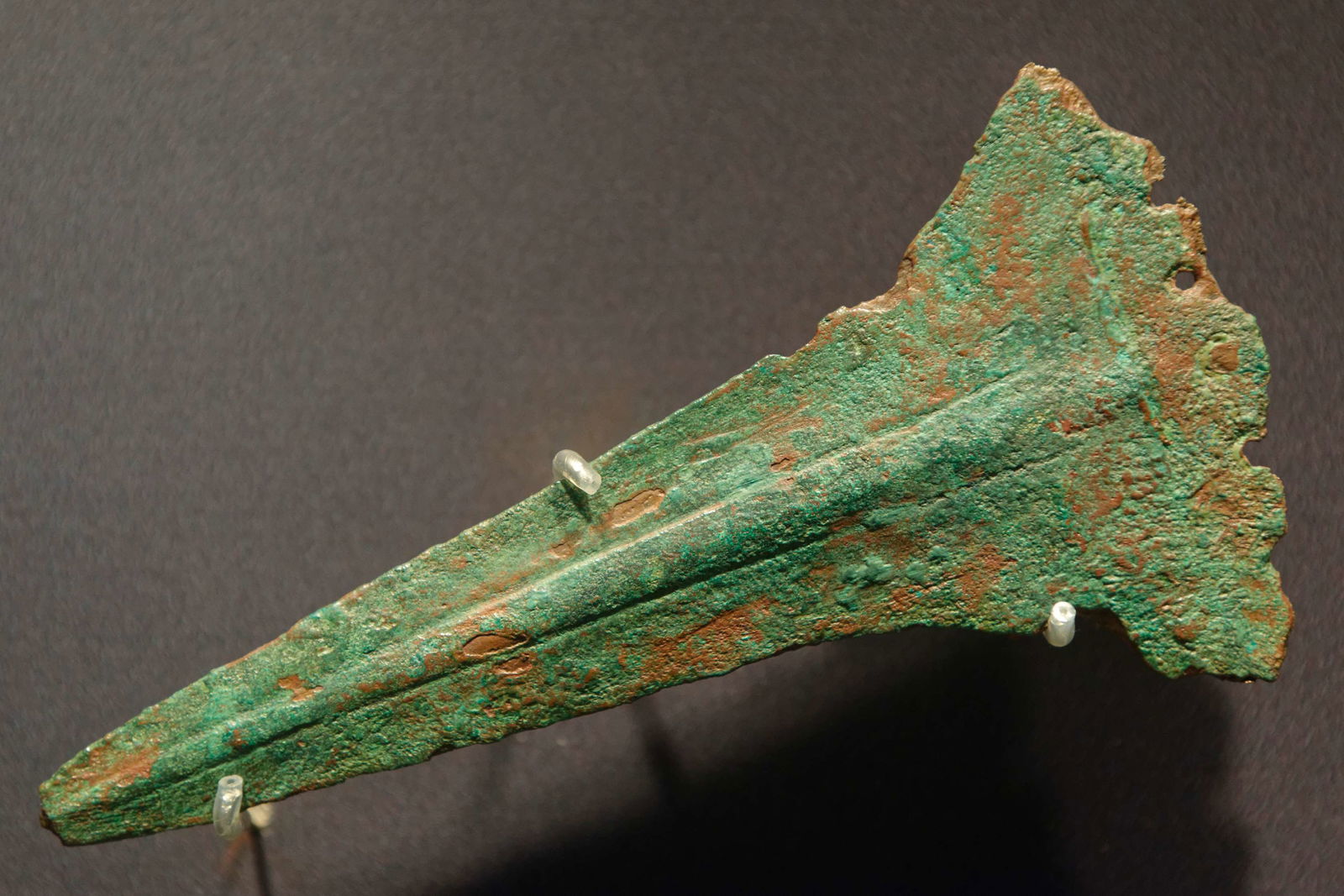 Museu Arqueològic de Catalunya