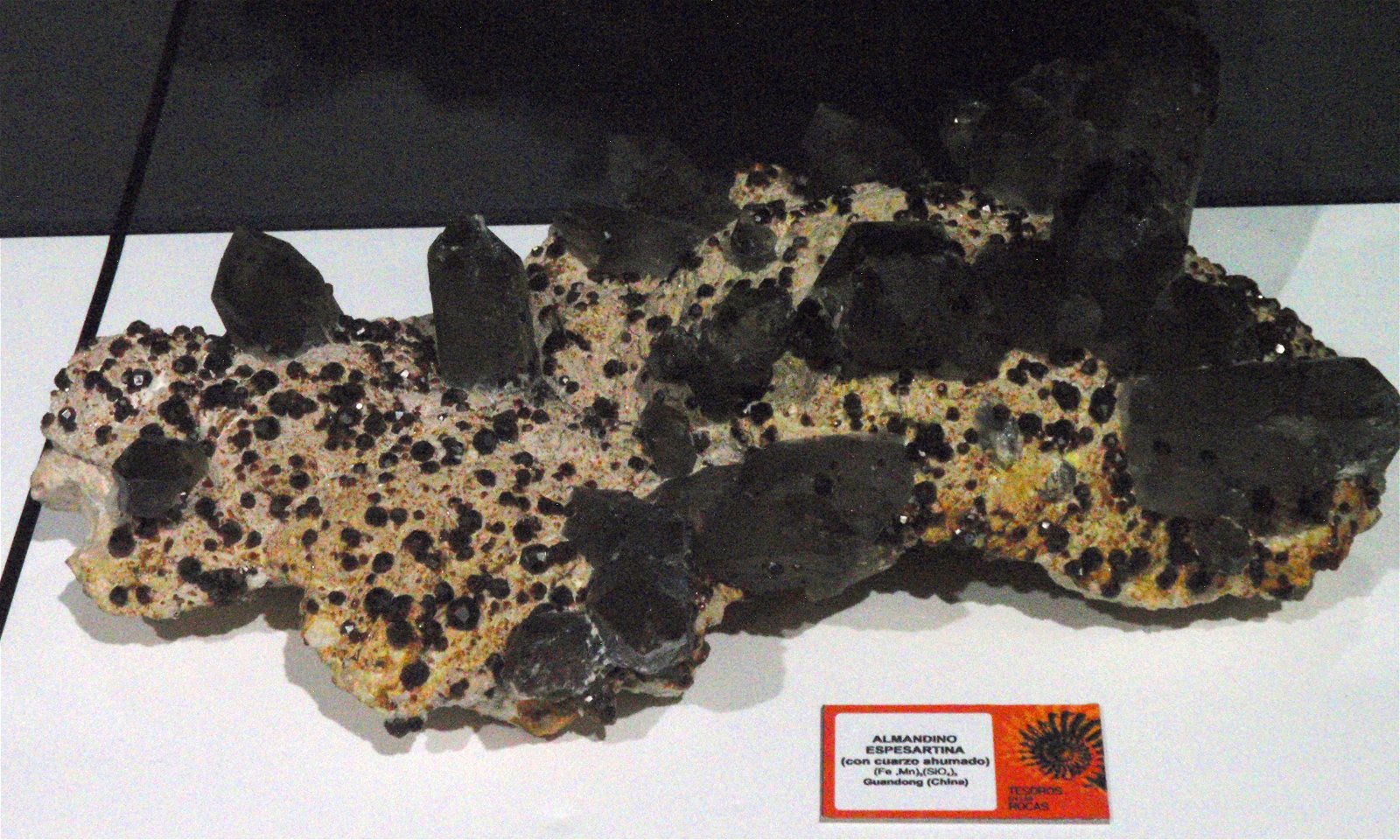 Museo Elder de la Ciencia y la Tecnología