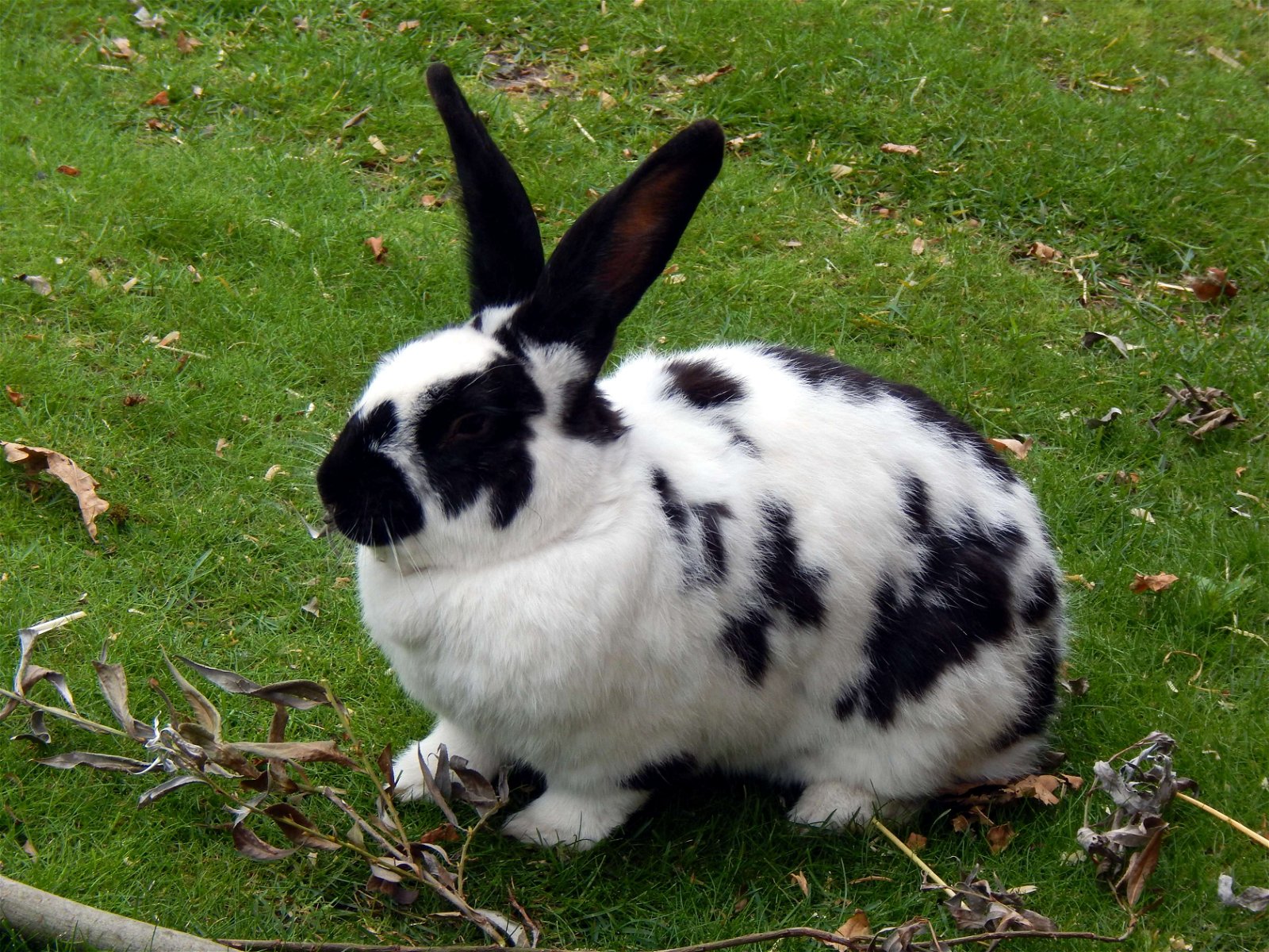 Tierpark und Fossilium Bochum