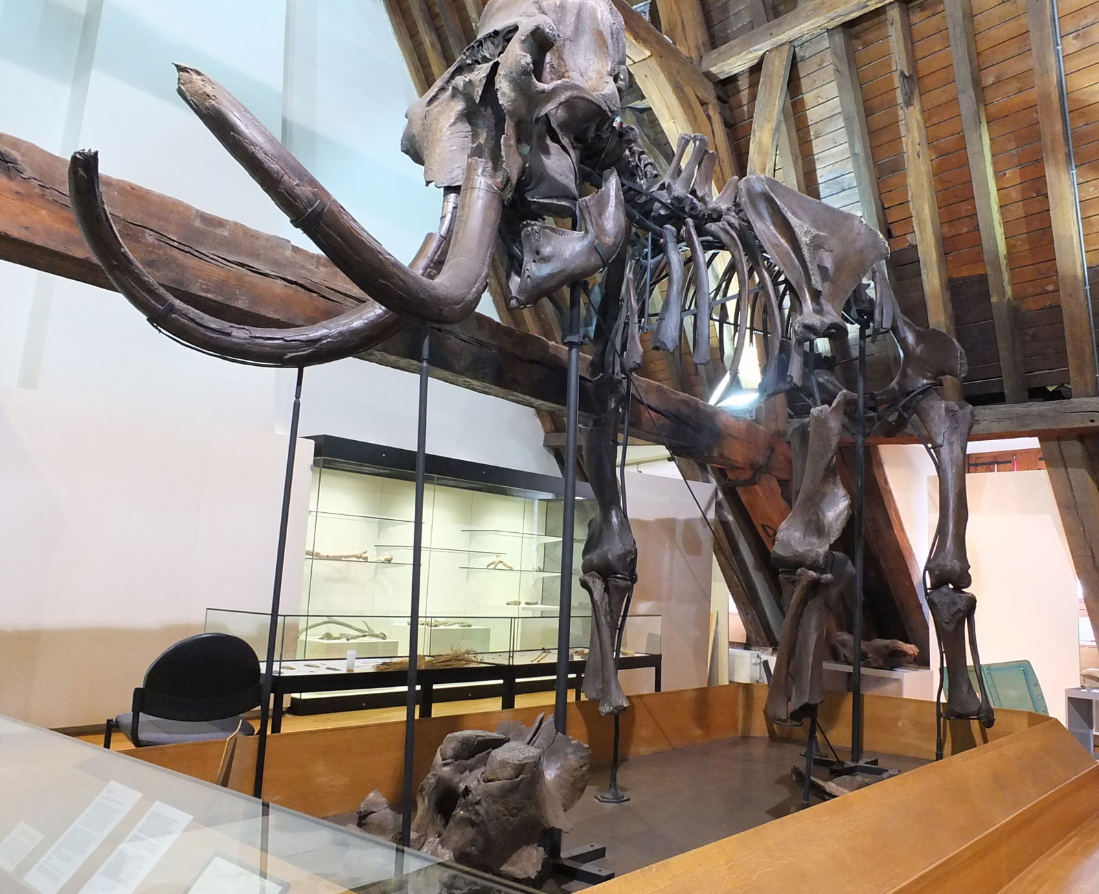 Stadsmuseum Vleeshuis