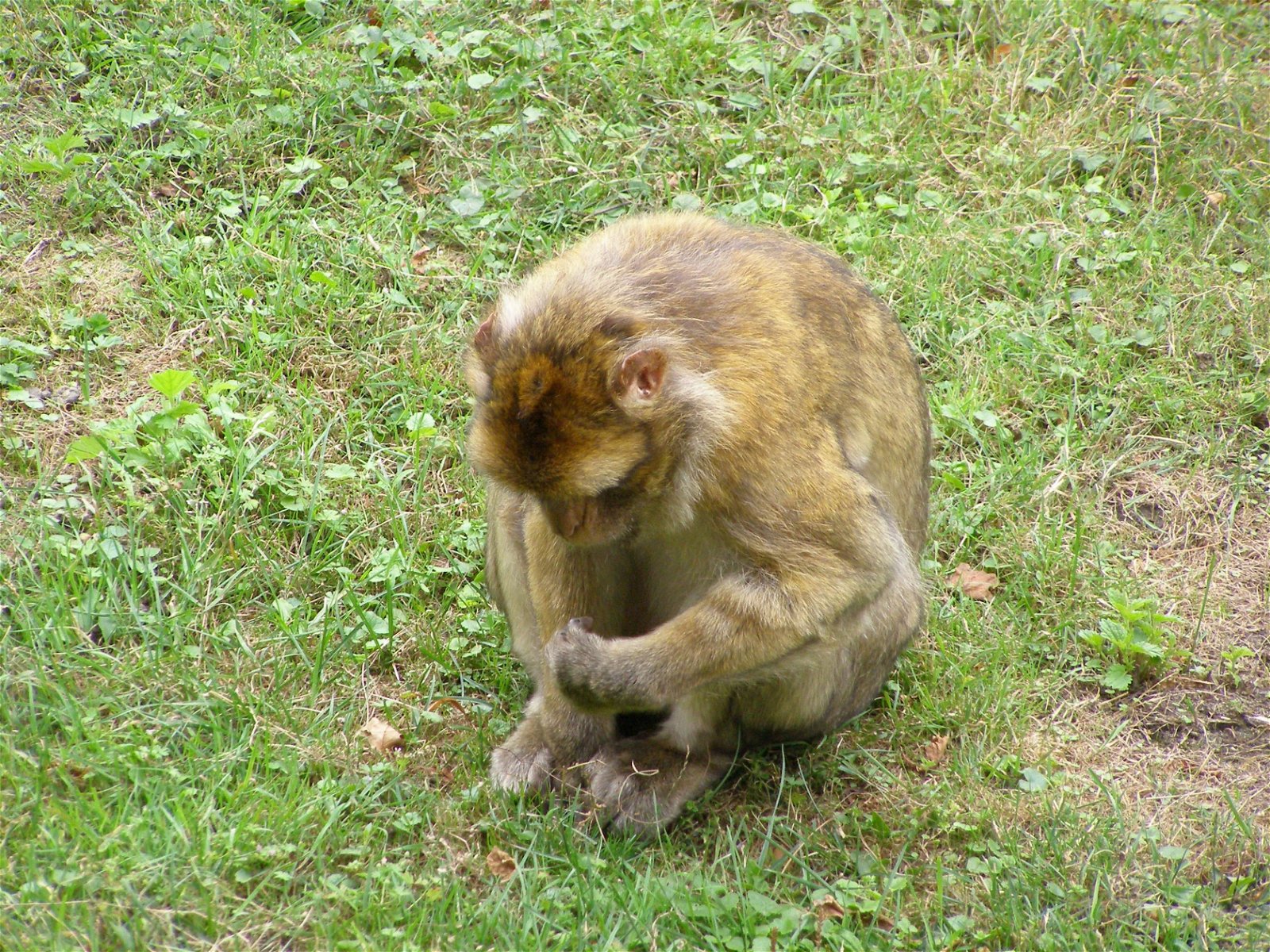 Wroclaw Zoo & Africarium