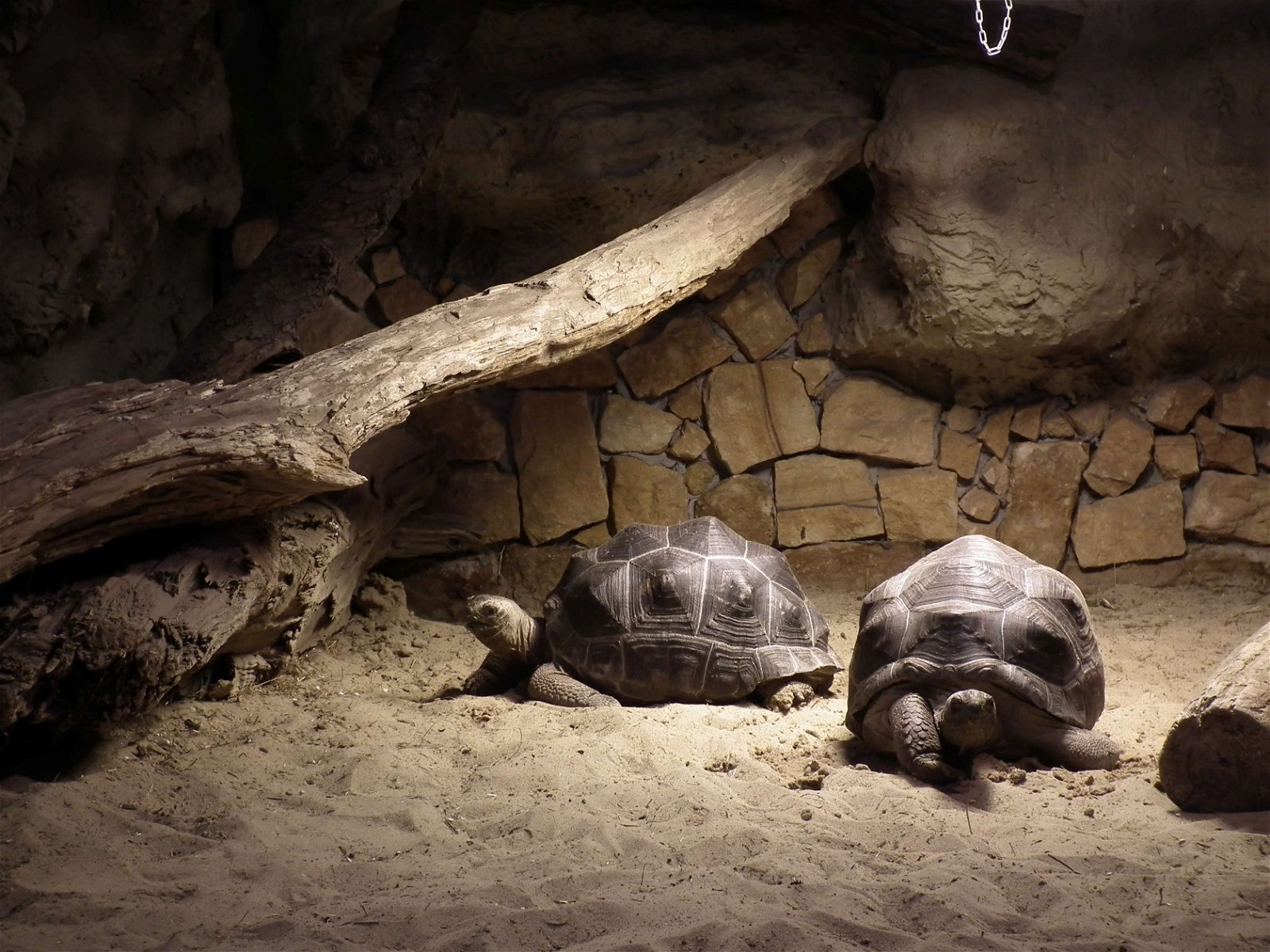 Aquarium and Museum of Natural History in Krakow
