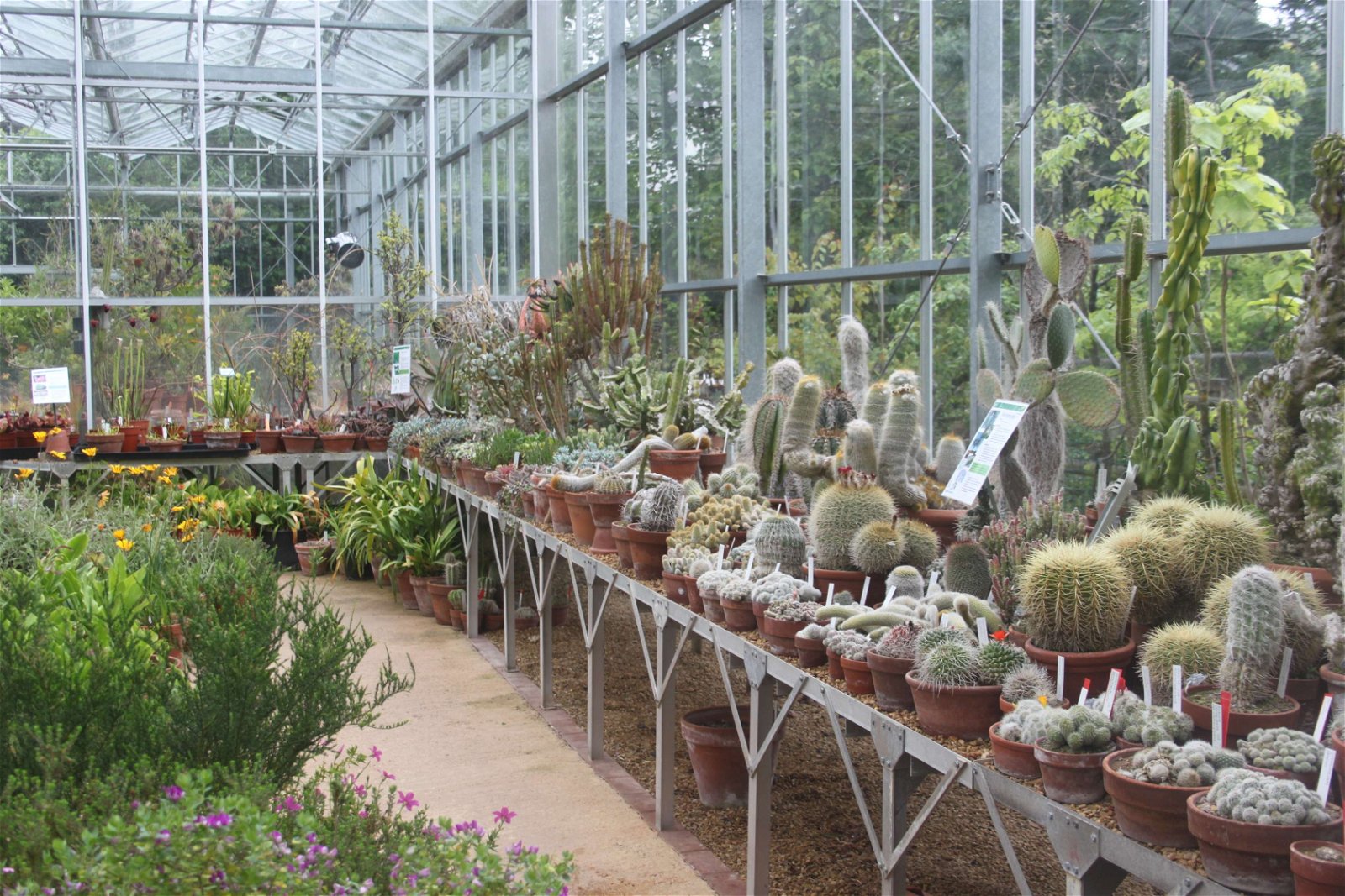 University of Bristol Botanic Garden