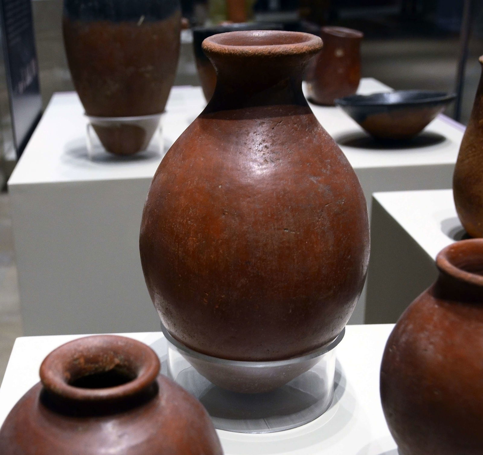 Museo egizio di Torino