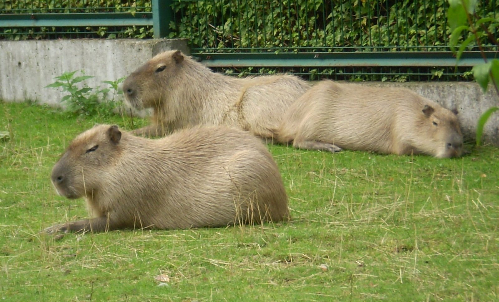 Riga Zoo