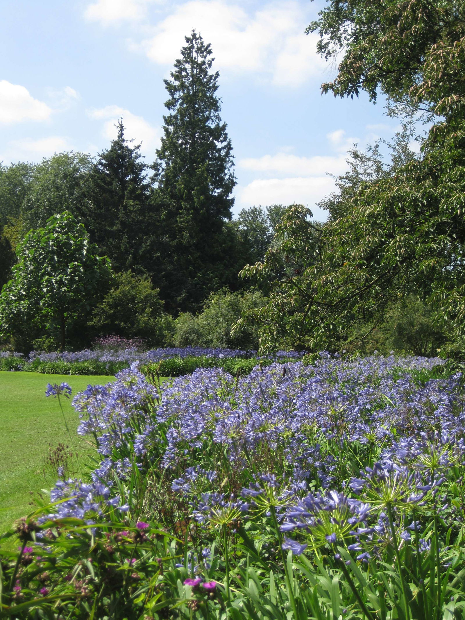Arboretum de Kalmthout