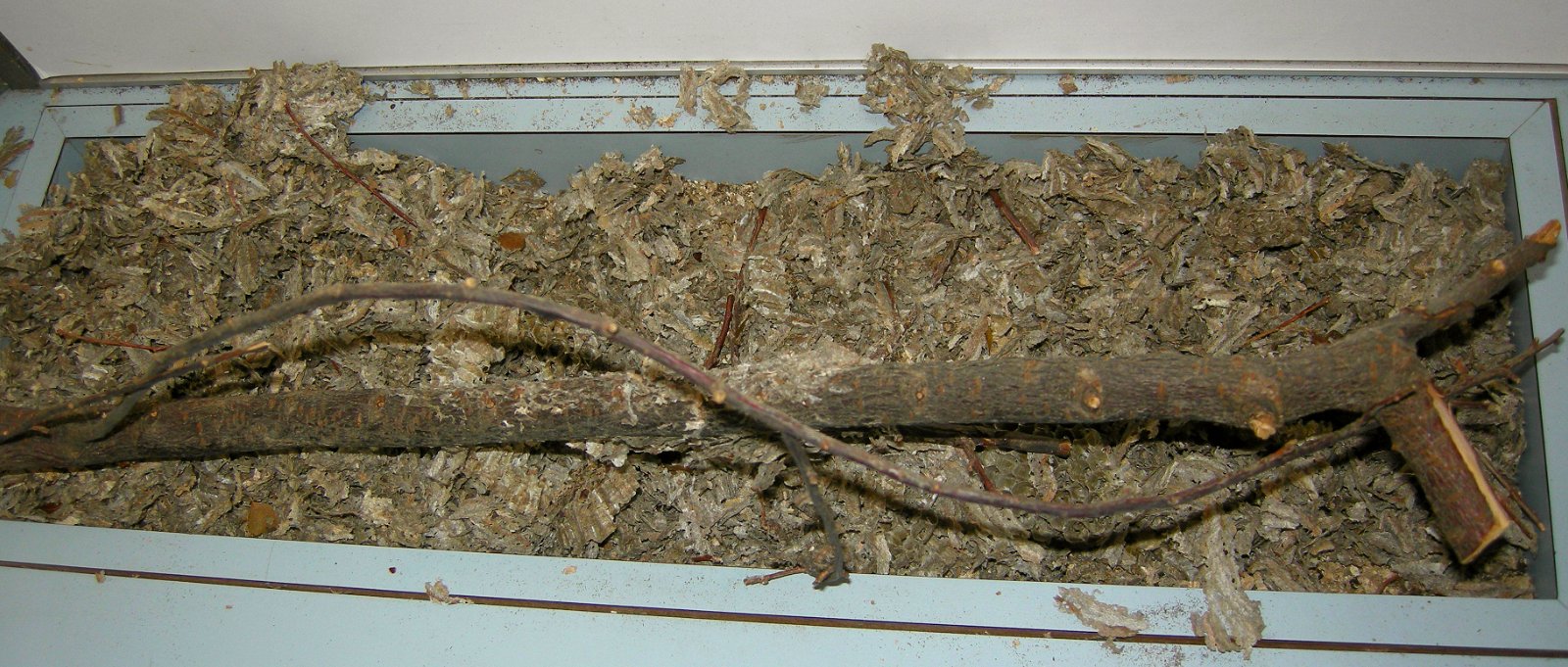 Bracken Hall Countryside Museum