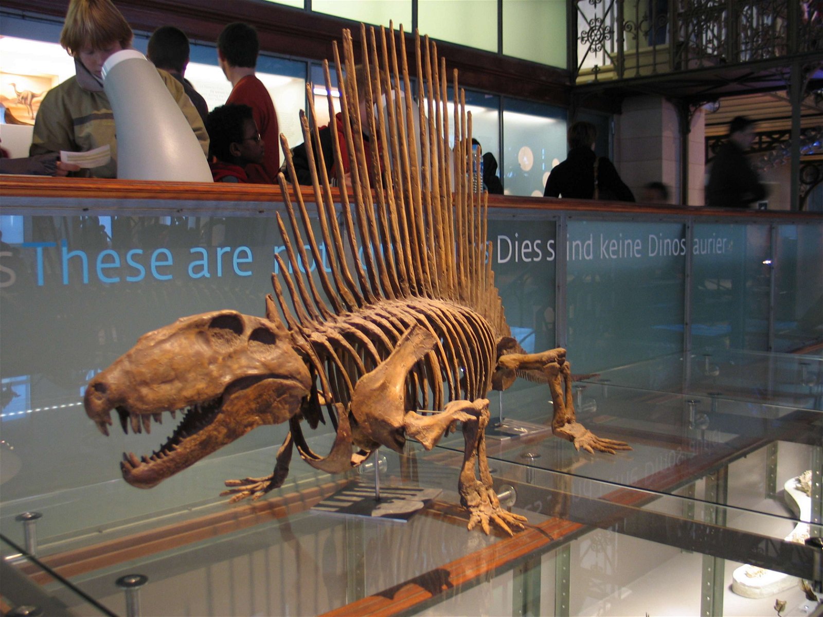 Natural Science Museum Of Belgium (Brussels) - Visitor Information ...