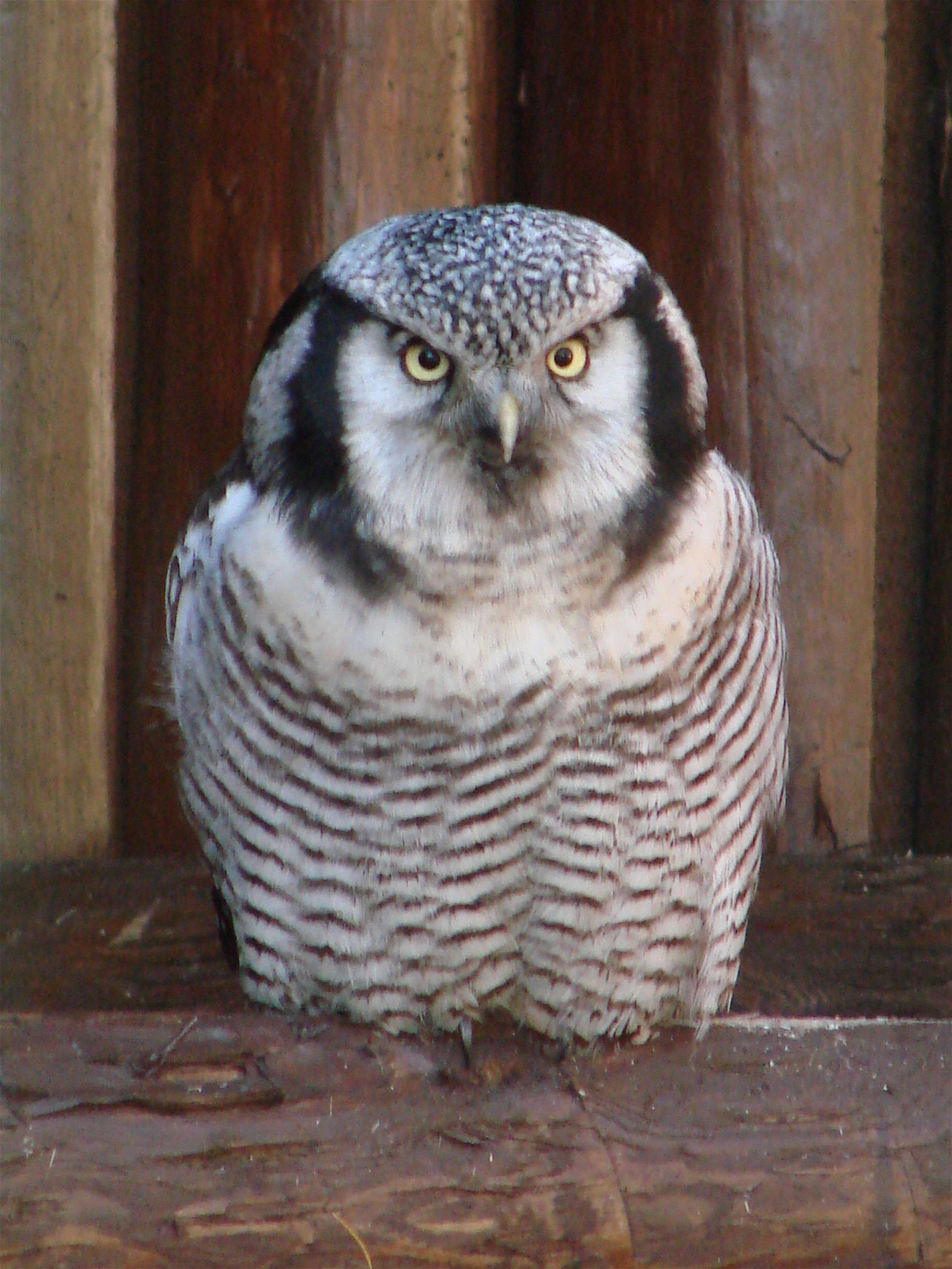 Wroclaw Zoo & Africarium