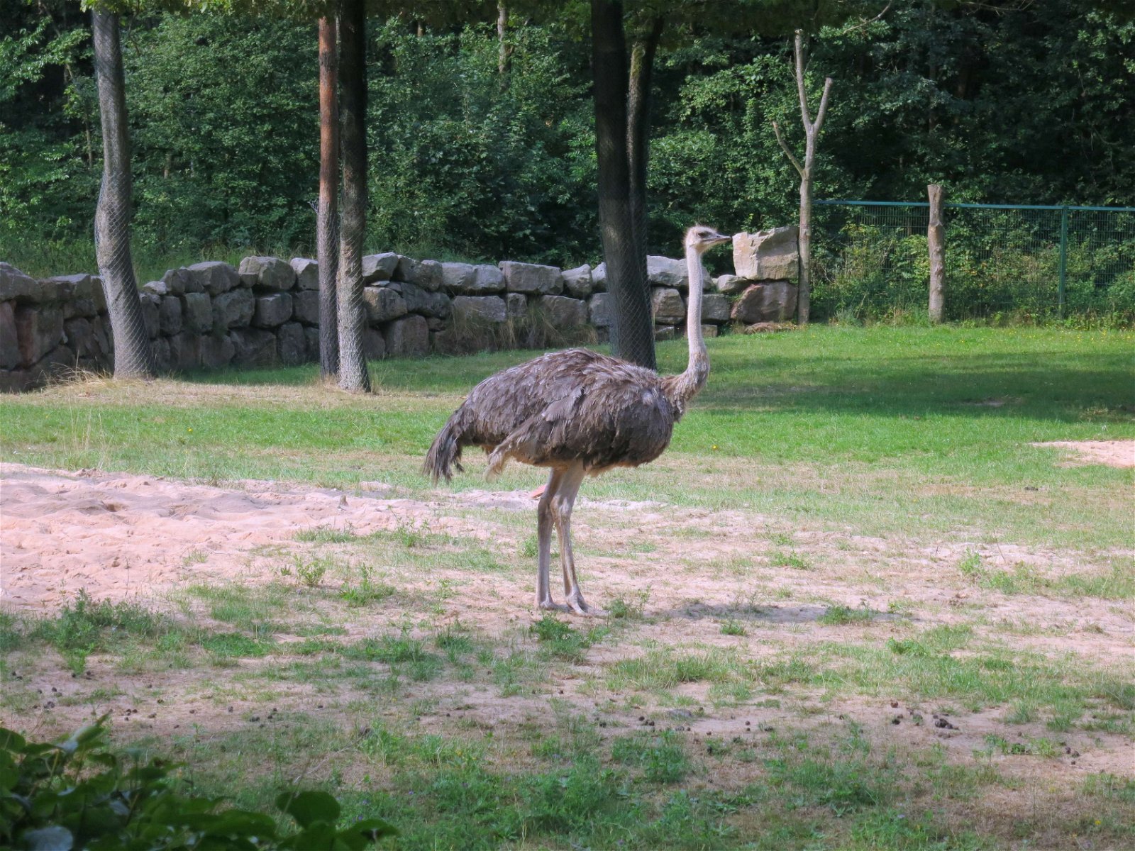Nuremberg Zoo