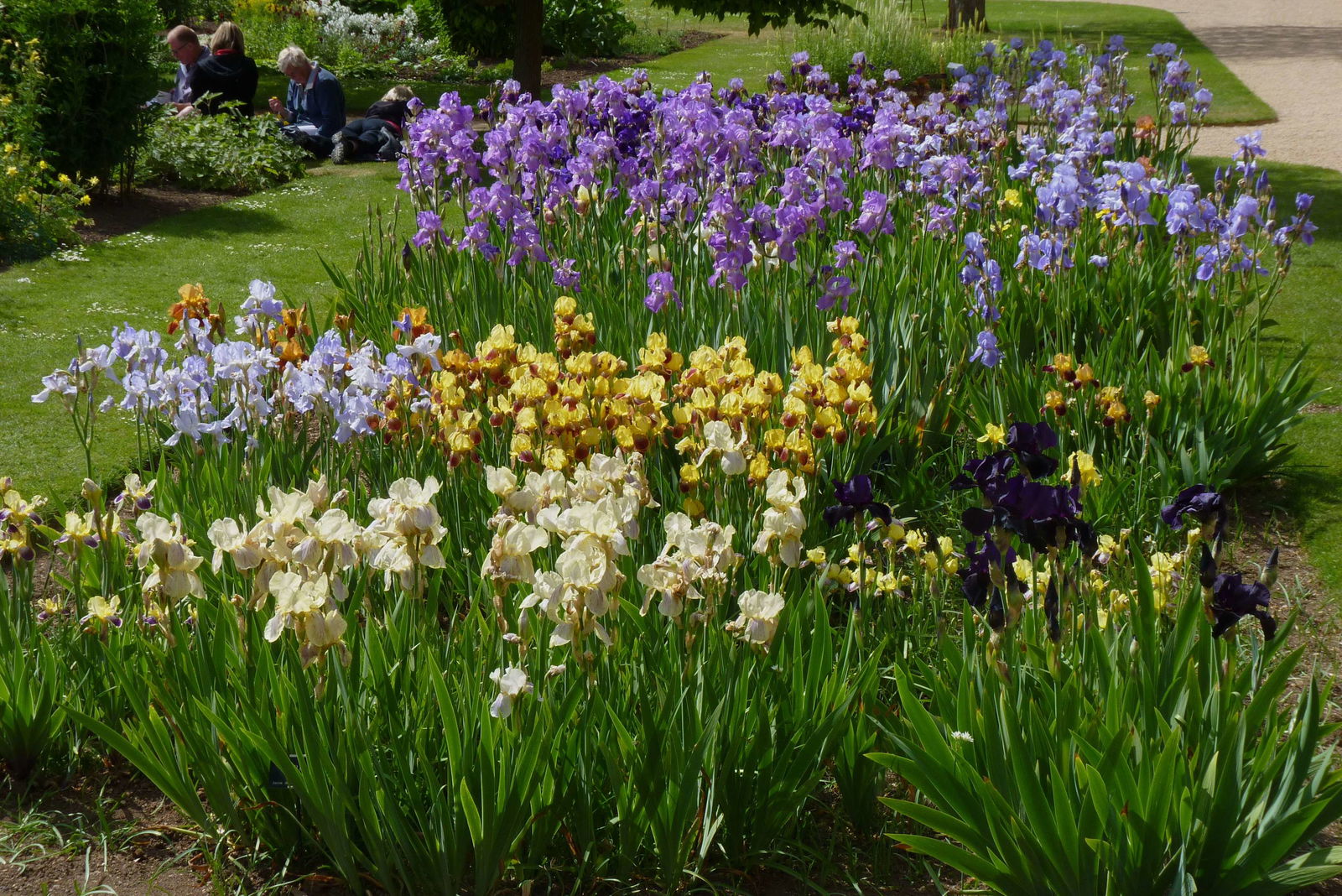 Jardín botánico de la Universidad de Oxford
