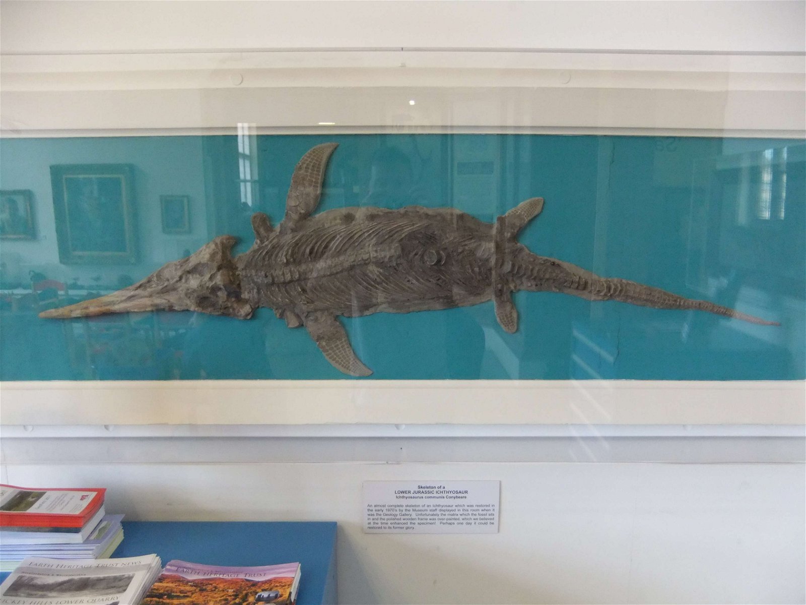 Worcester City Art Gallery and Museum