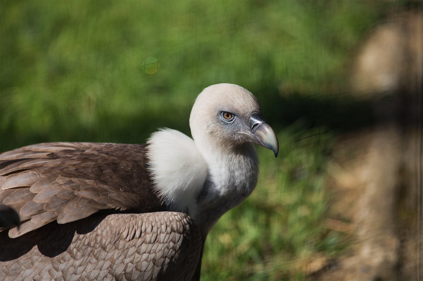 Parc zoologique de Paris