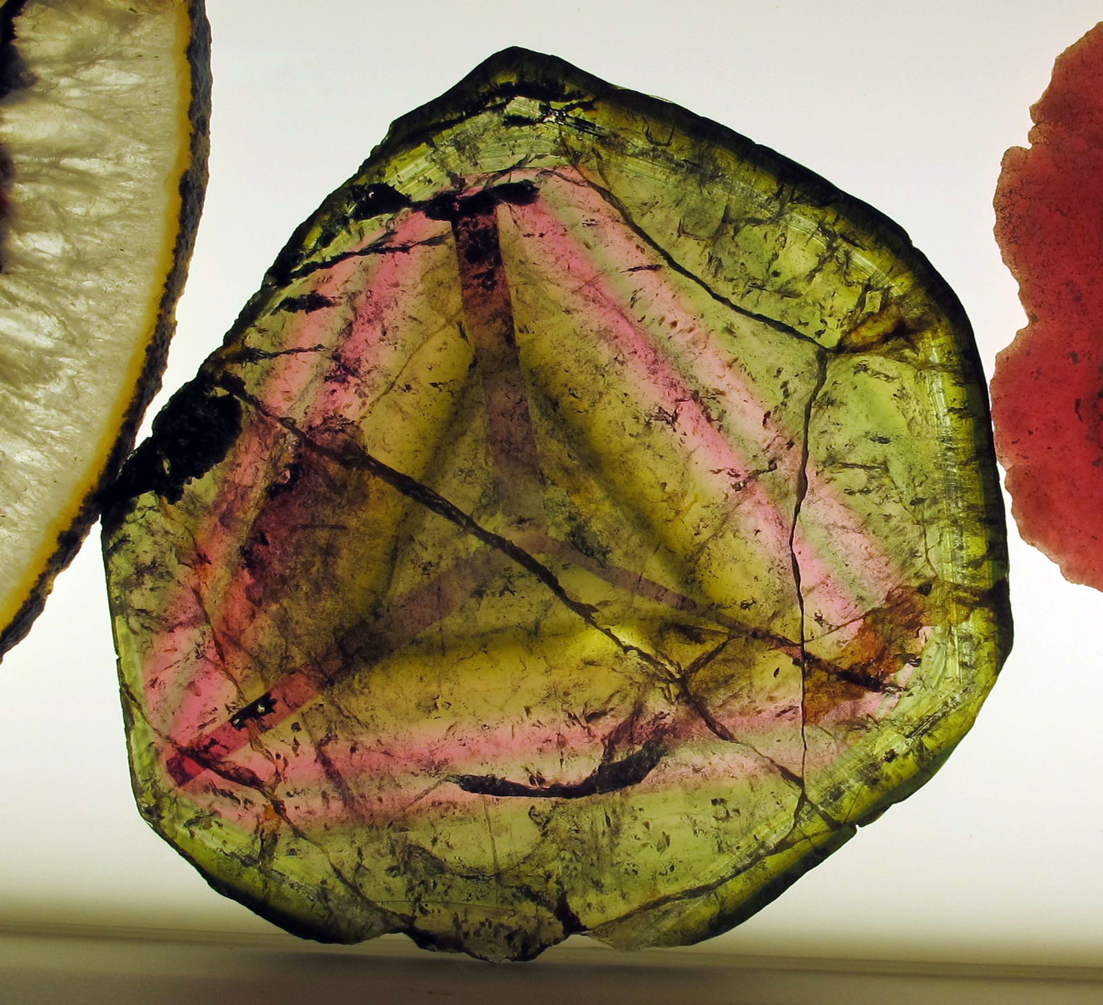 Museo di Storia Naturale di Firenze - Geologia e Paleontologia