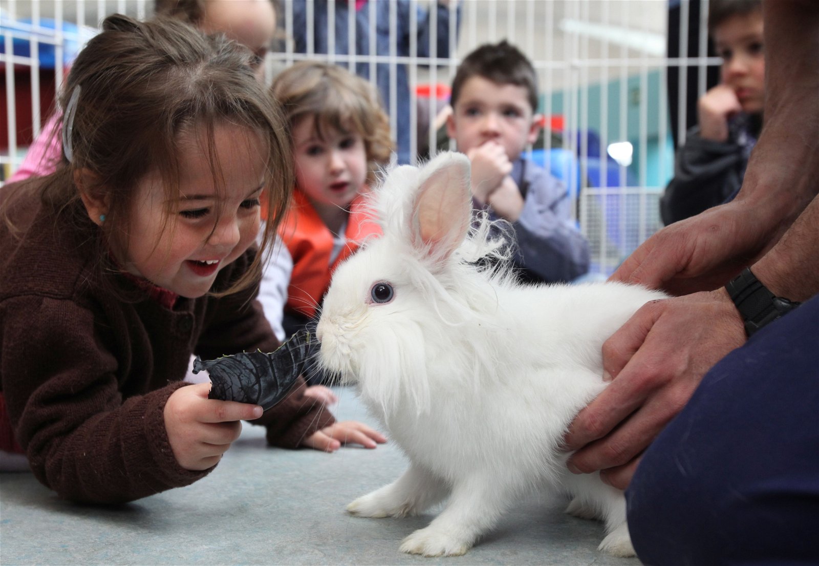 Principe Felipe Science Museum