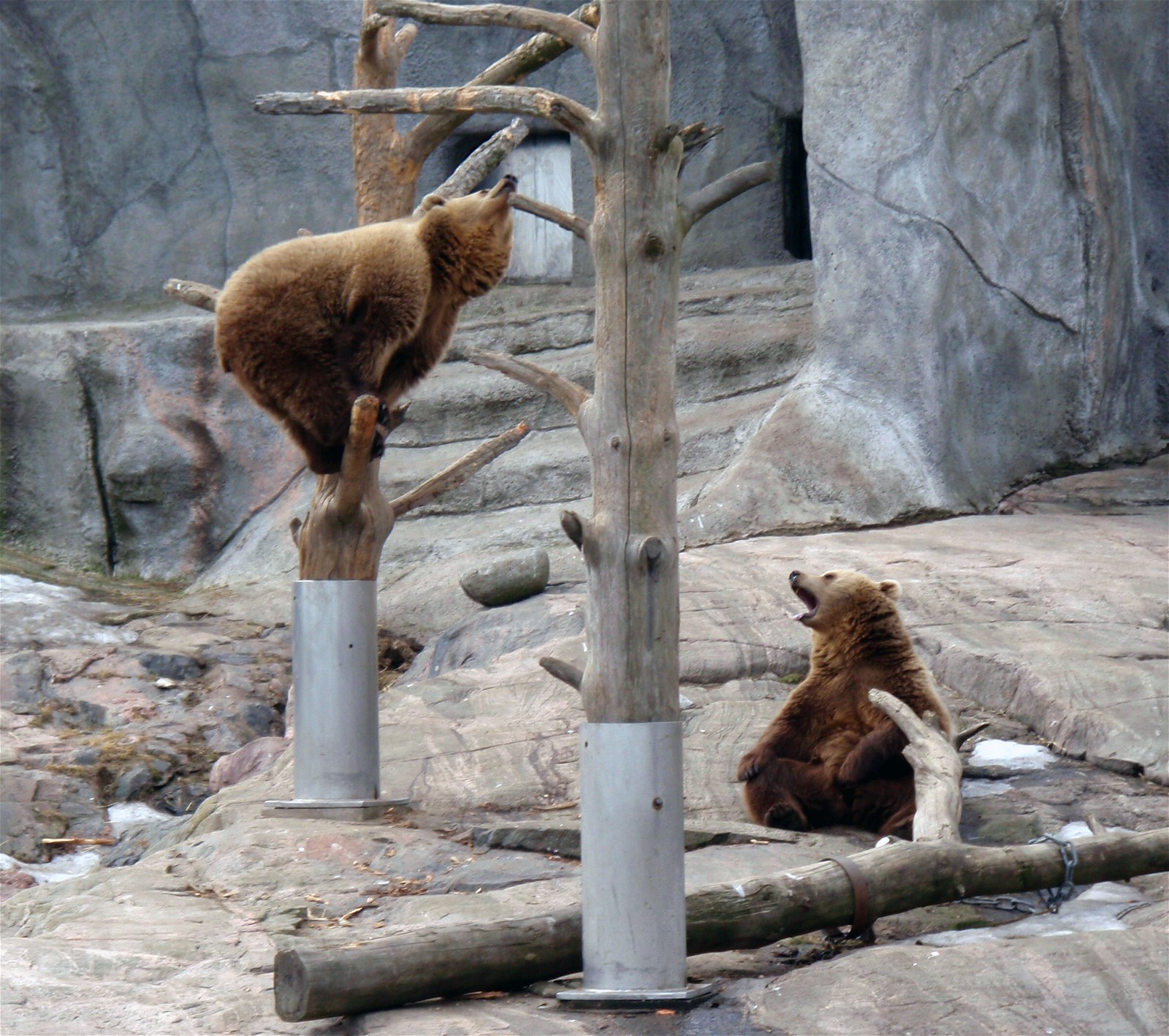 Helsinki Zoo