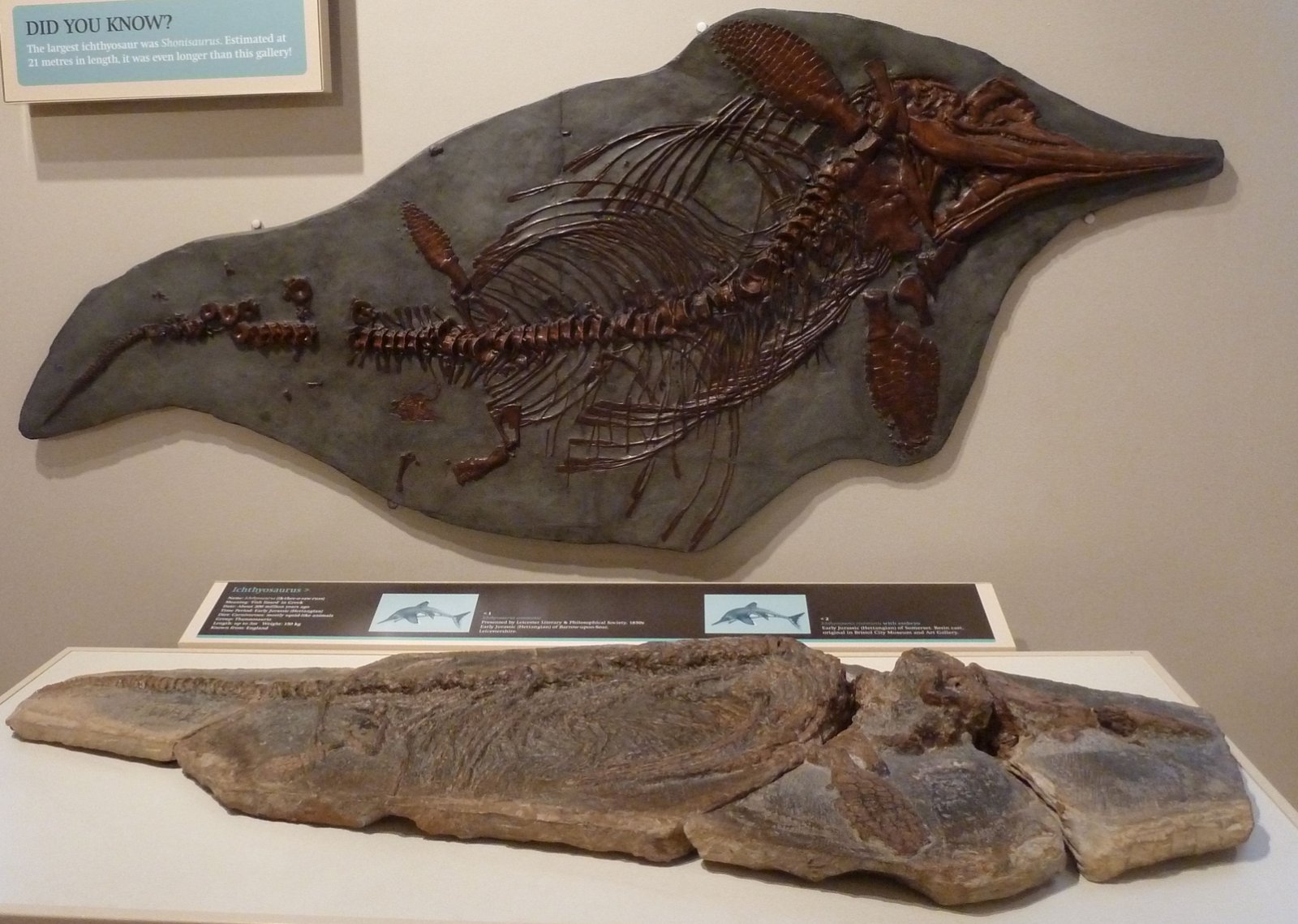 New Walk Museum and Art Gallery