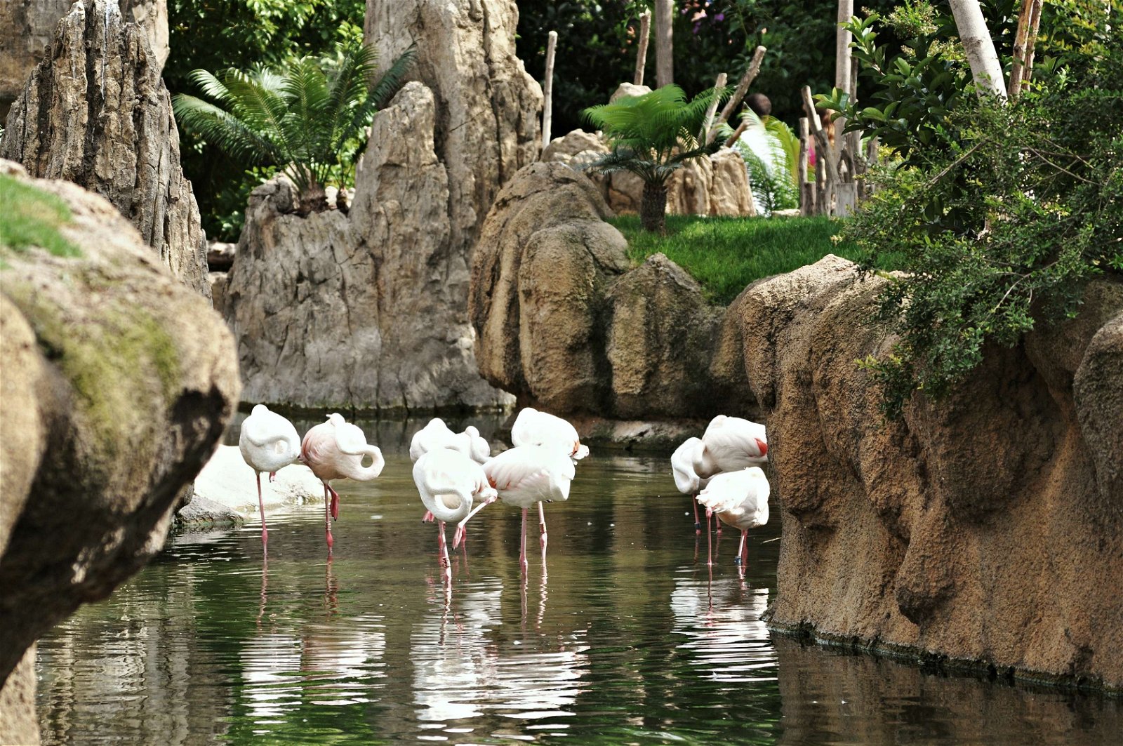 Bioparc Valencia