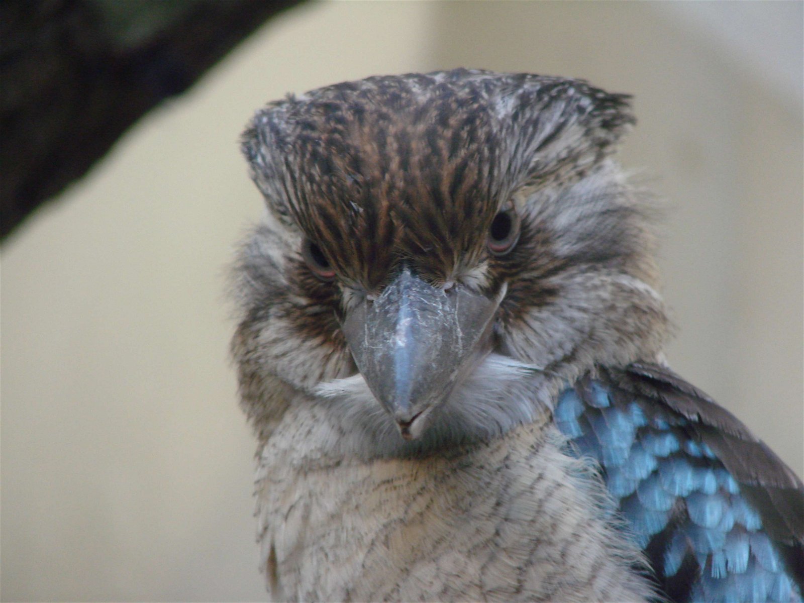Wroclaw Zoo & Africarium