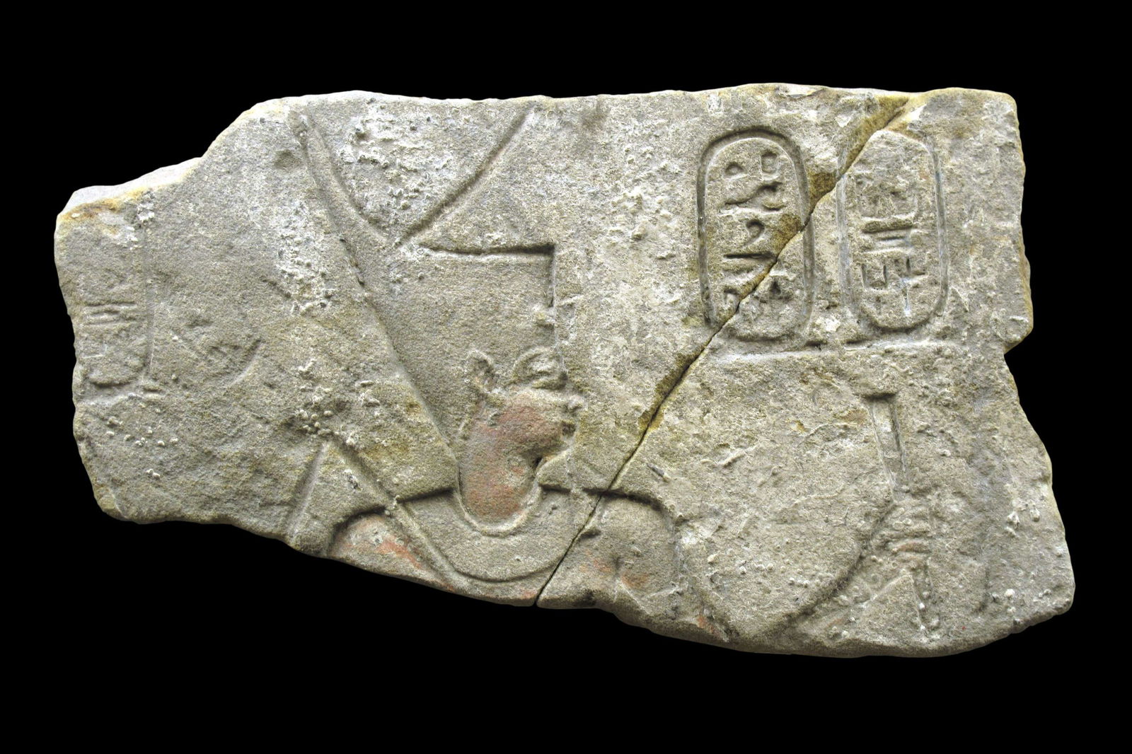 Musée d'archéologie méditerranéenne