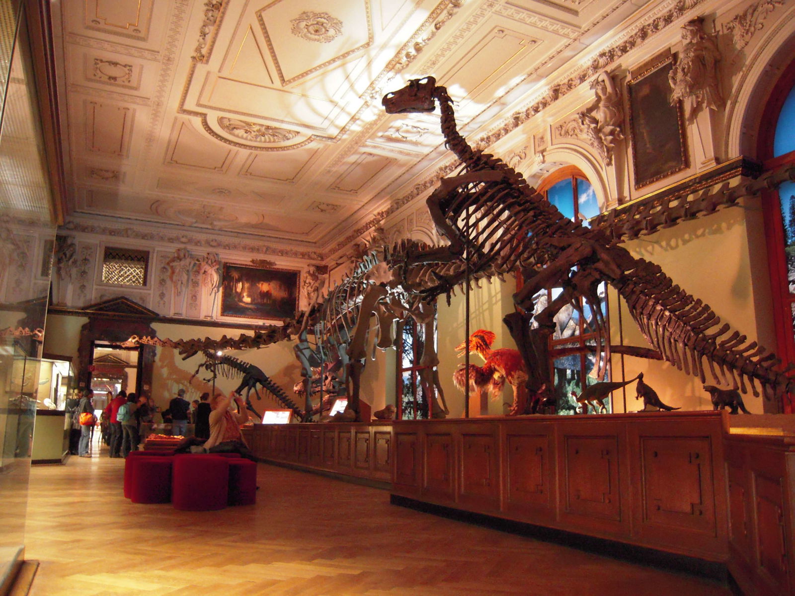 Naturhistorisches Museum