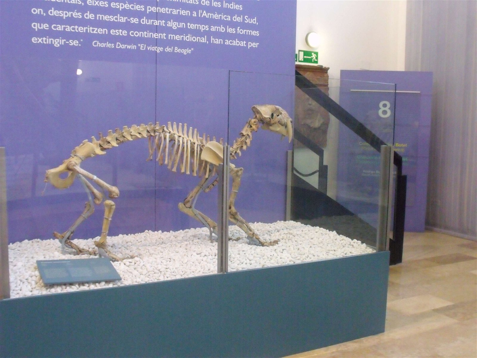 Museo de Ciencias Naturales