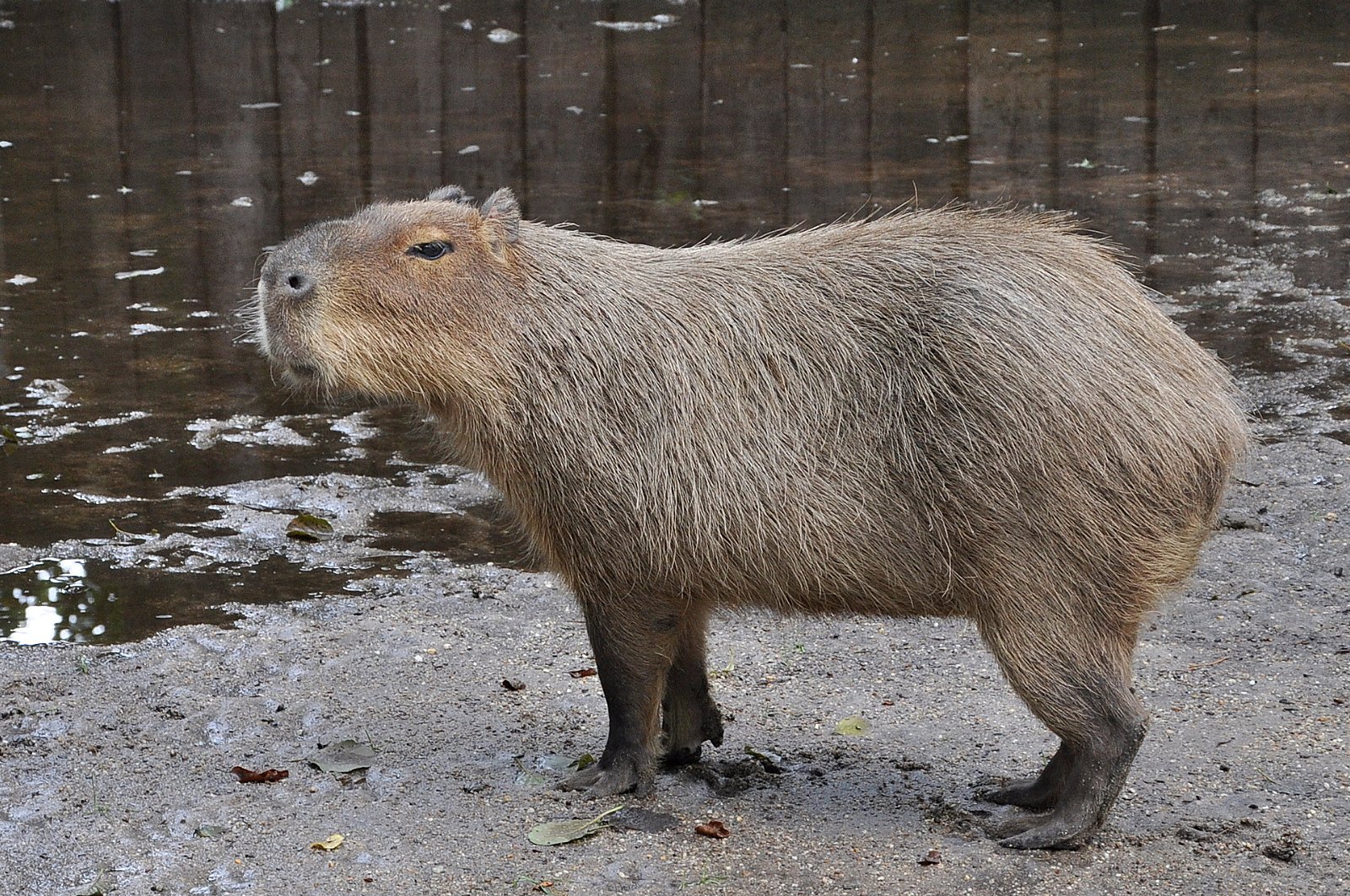 Familiepark Harry Malter