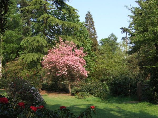 Harcourt Arboretum