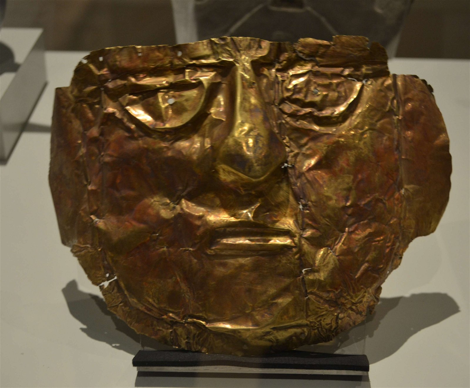 Museum of the Americas