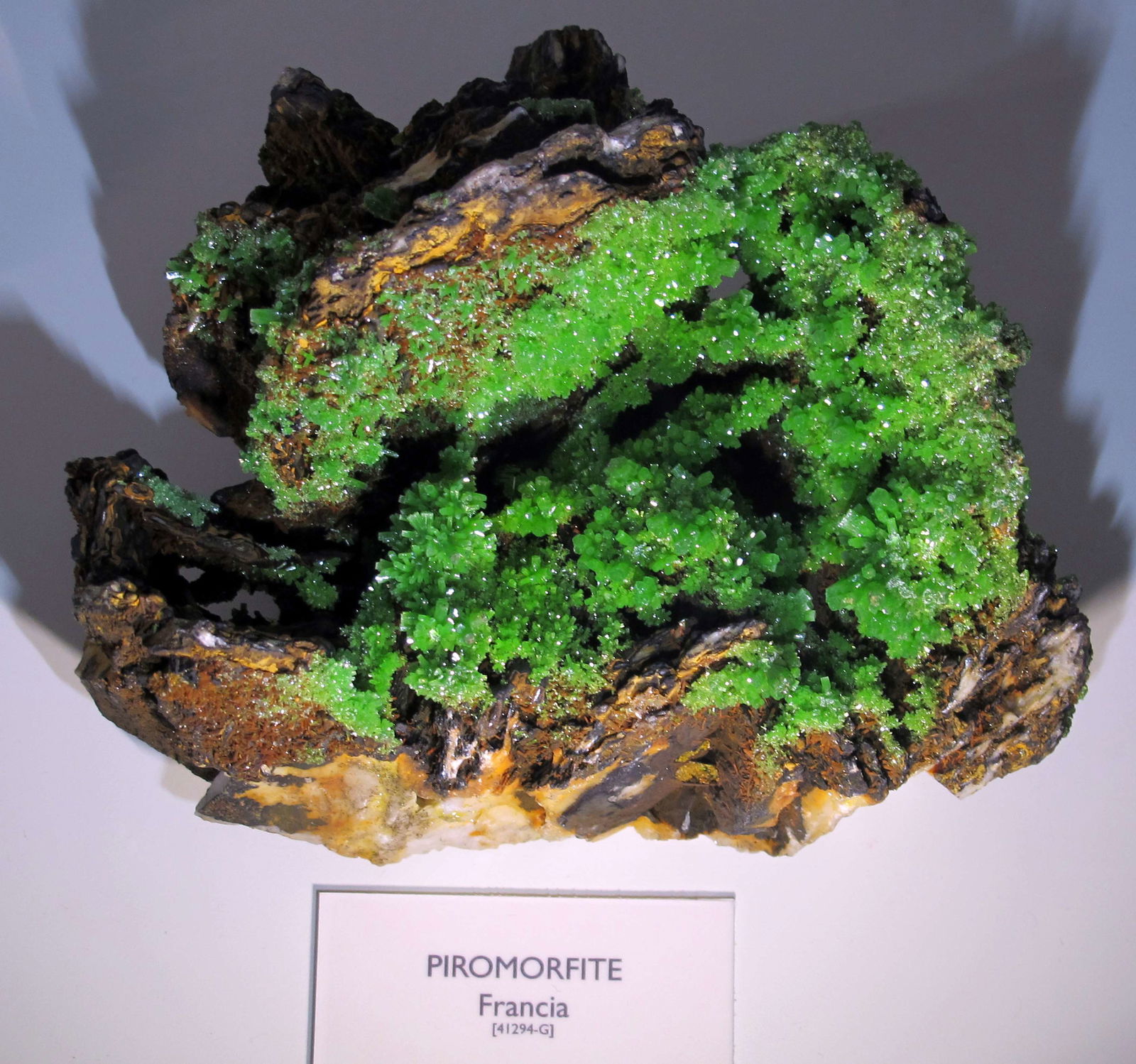 Museo di Storia Naturale di Firenze - Geologia e Paleontologia