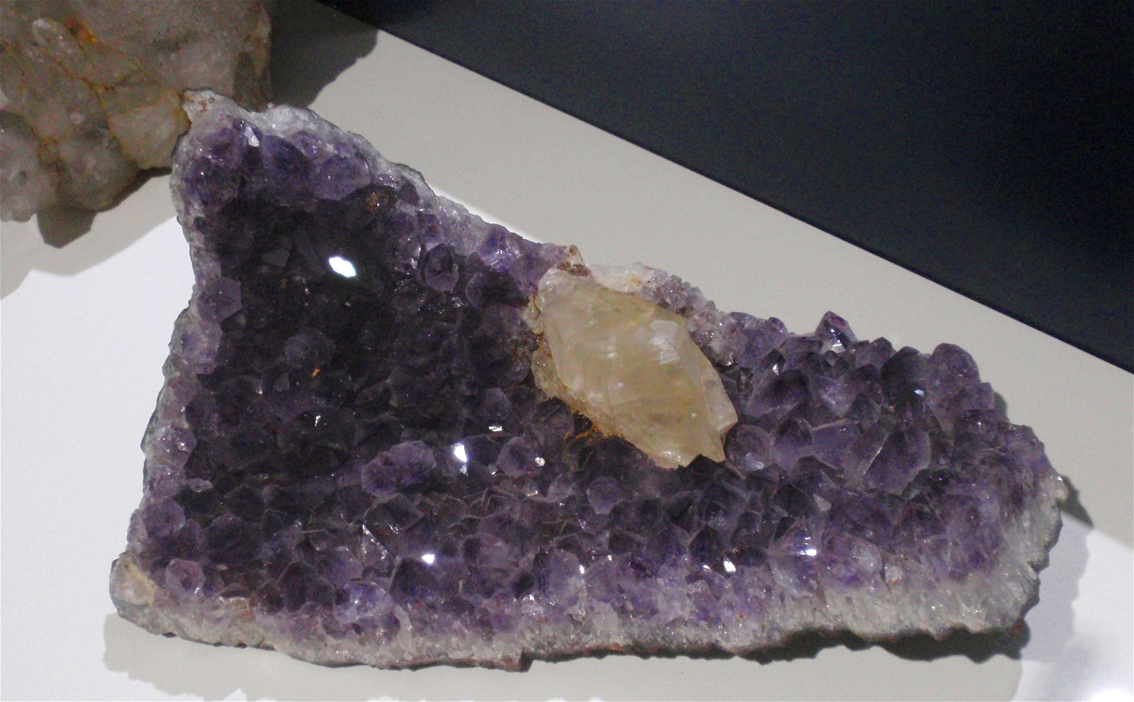 Museo Elder de la Ciencia y la Tecnología